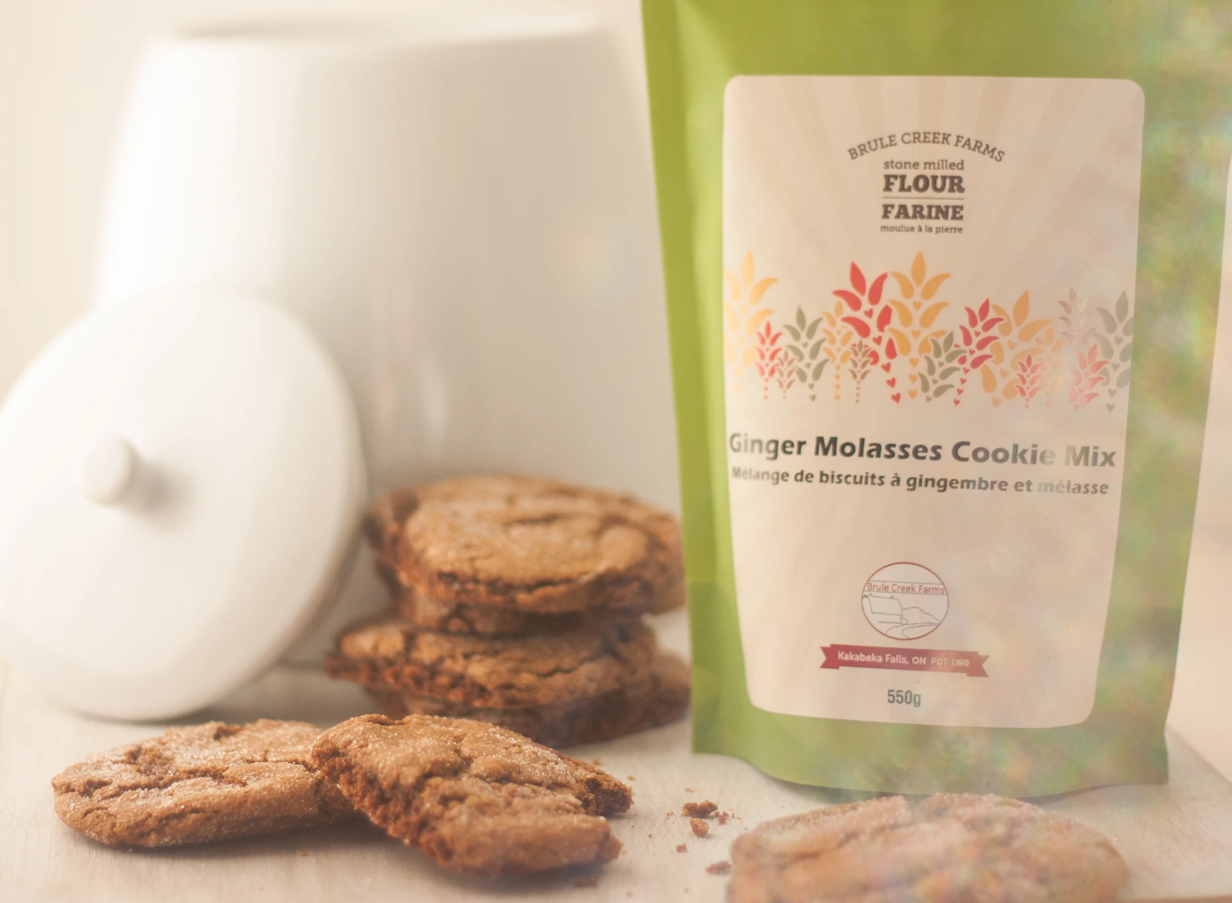 February 12, 2015 Ginger Molasses Cookie Mix-2.jpg