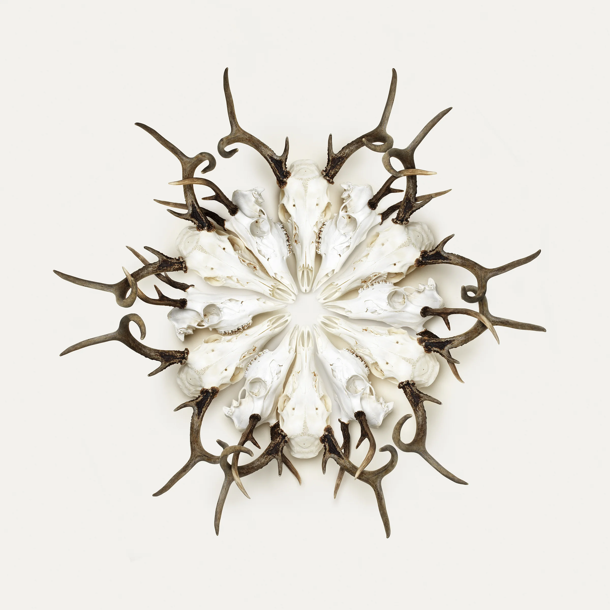 Portfolio_ColinStetson_Circle.jpg