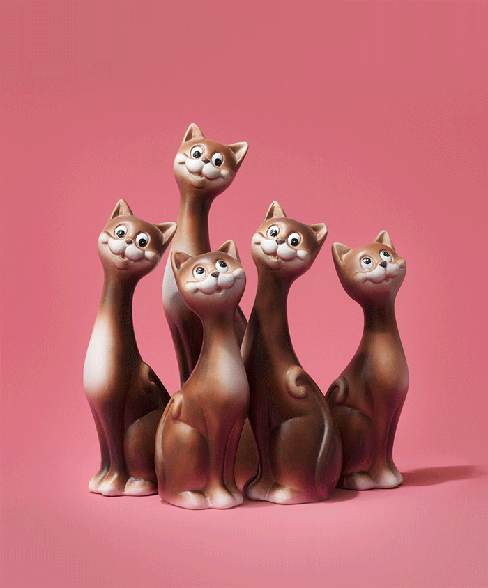 Rogowski_Portfolio_Cats.gif
