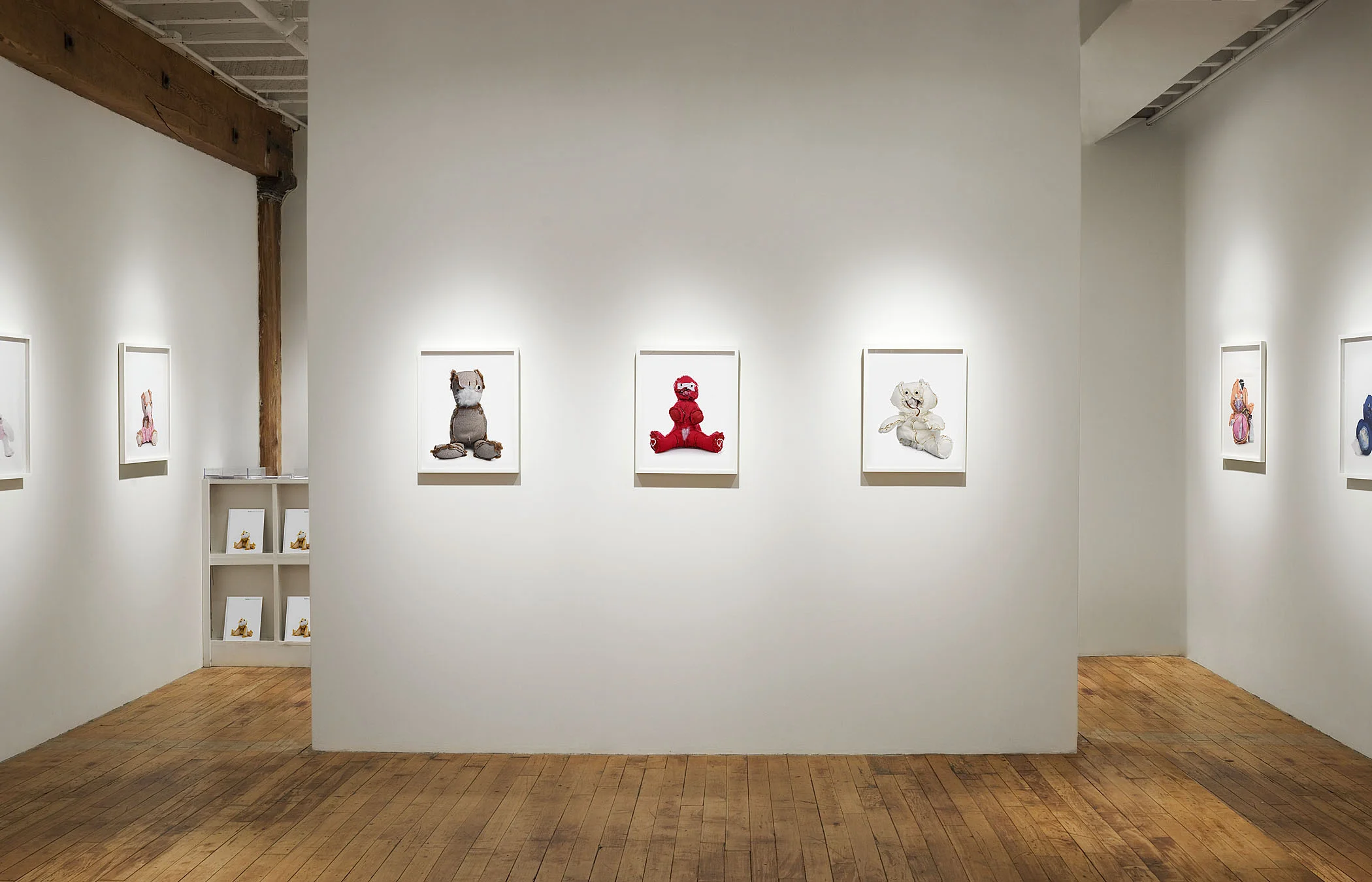 Rogowski_Bears_Installation_2.jpg