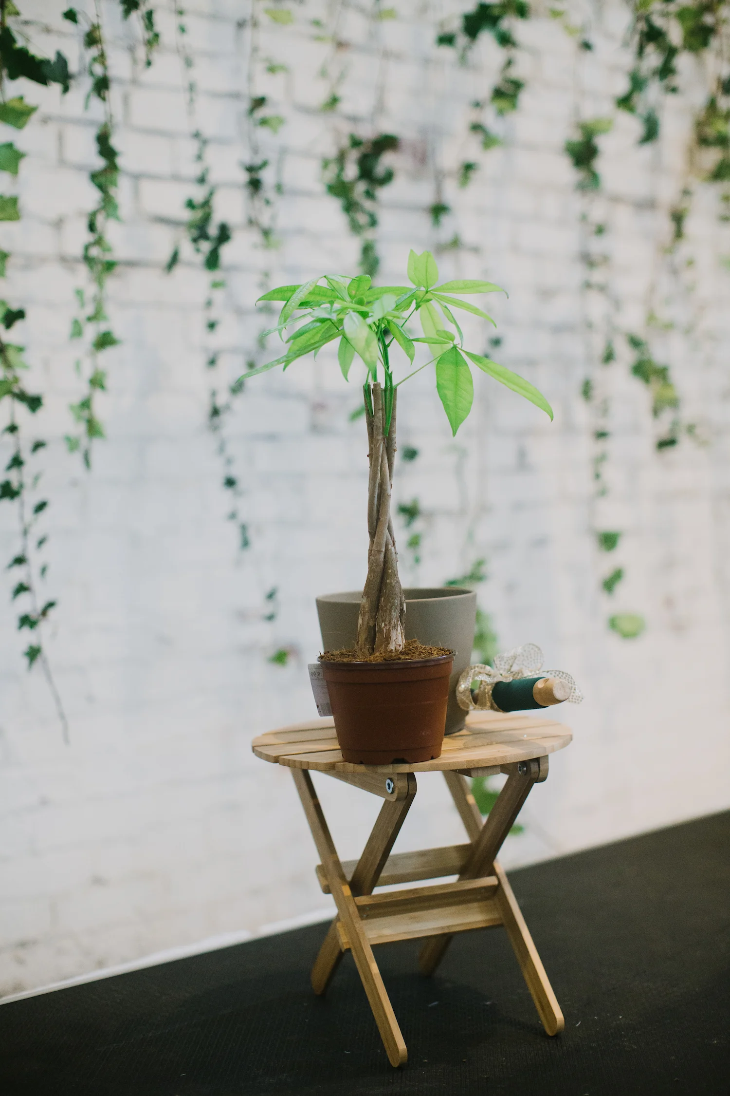 RachelLuke Wedding 288.JPG