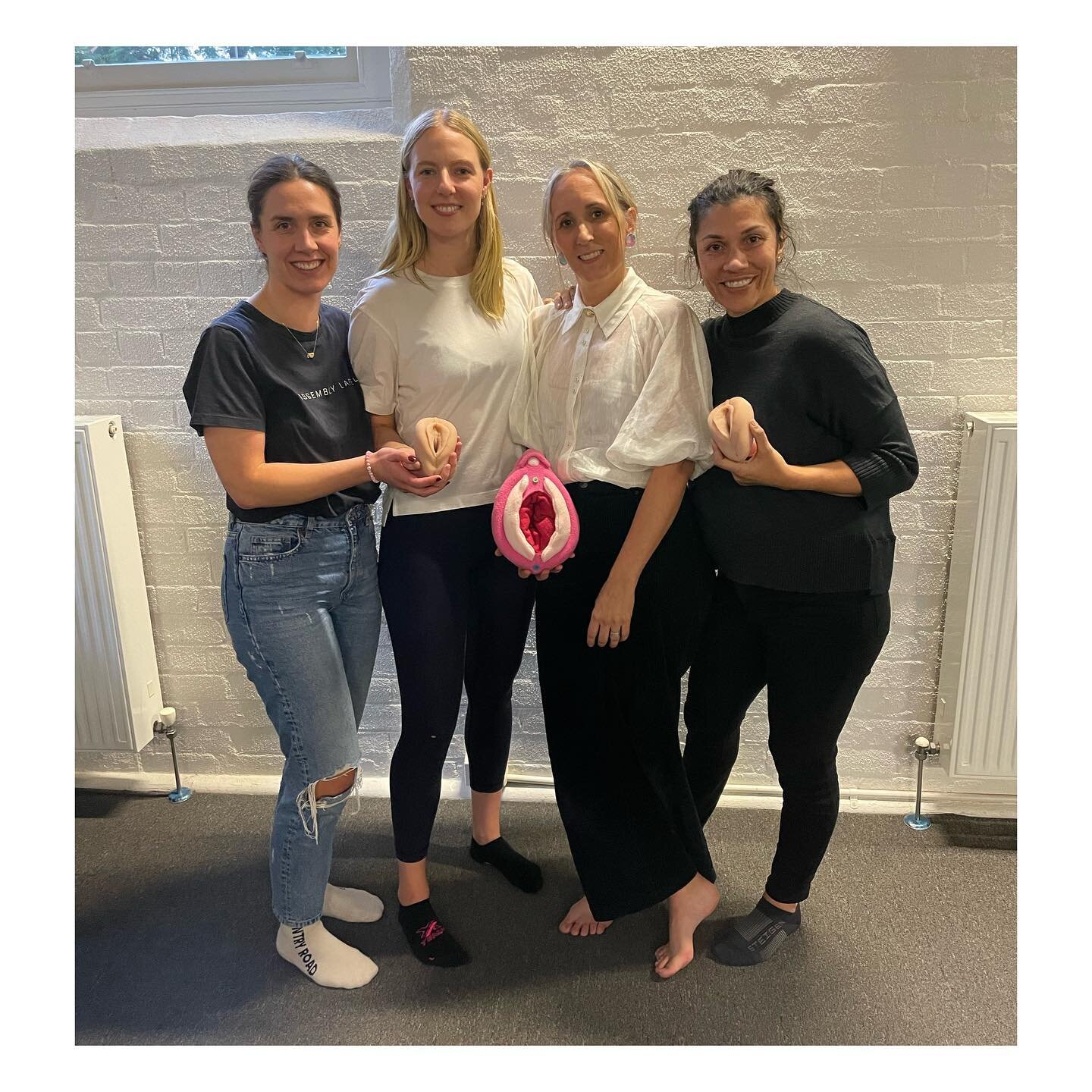 It was an absolute pleasure working with and training these amazing osteopaths Meg  @megwitherswellness Nikki @bump.to.babe.osteo and Geetha  @geethasoosay in the area of pelvic health over the weekend through the @pelvichealth.institute 
.
What does