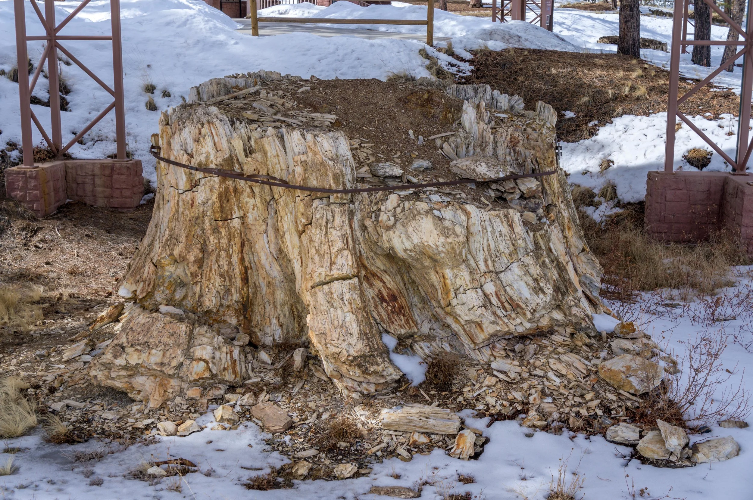FlorissantFossilBedsWeb-1.jpg