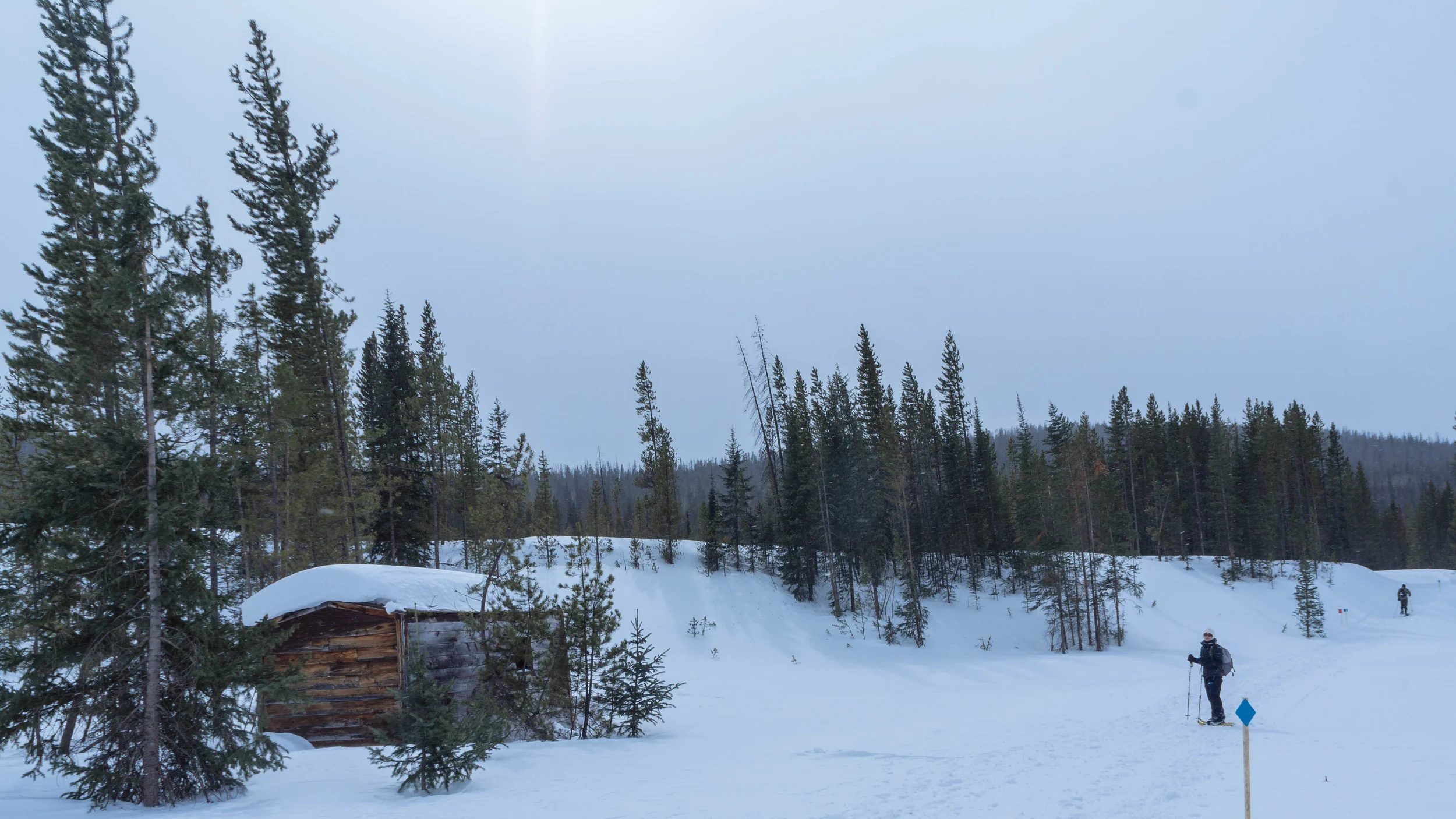 StateForestStateParkWeb-1.jpg