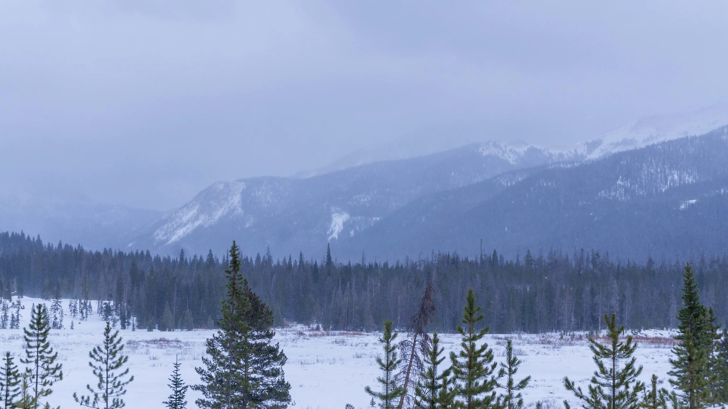 StateForestStateParkWeb-11.jpg
