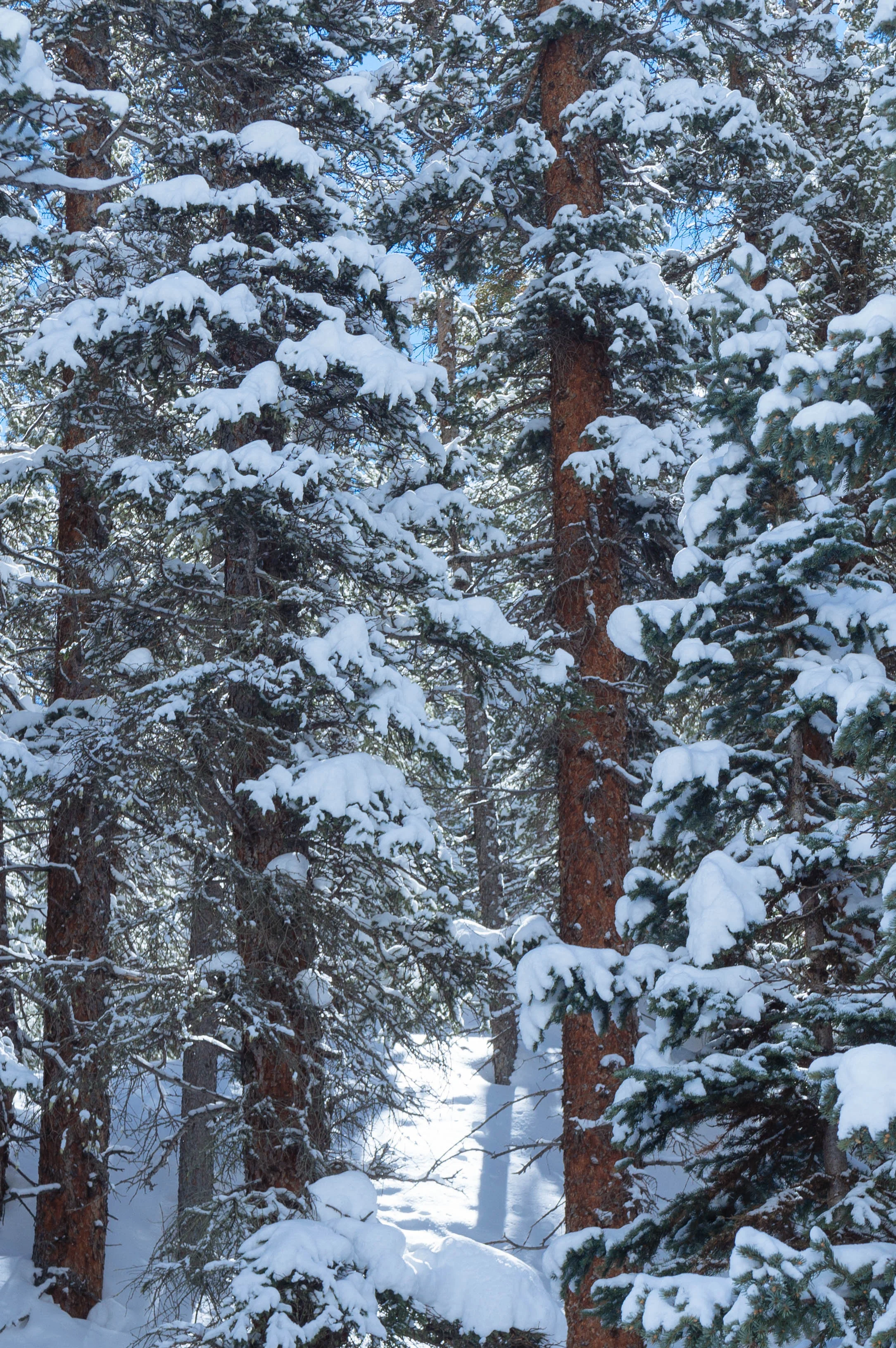 PeruCreekSnowWeb-19.jpg