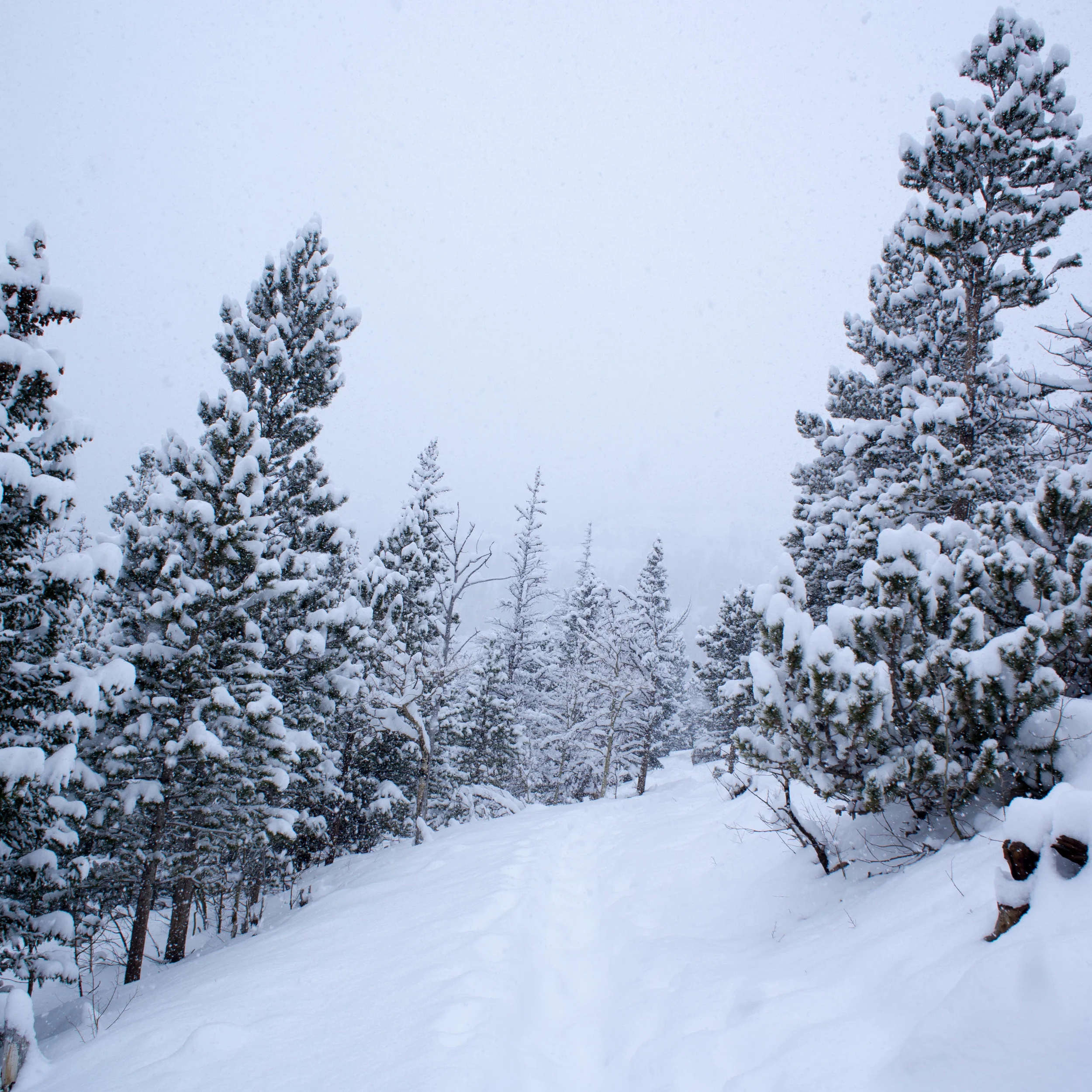 AlbertaFallsWinter-22.jpg