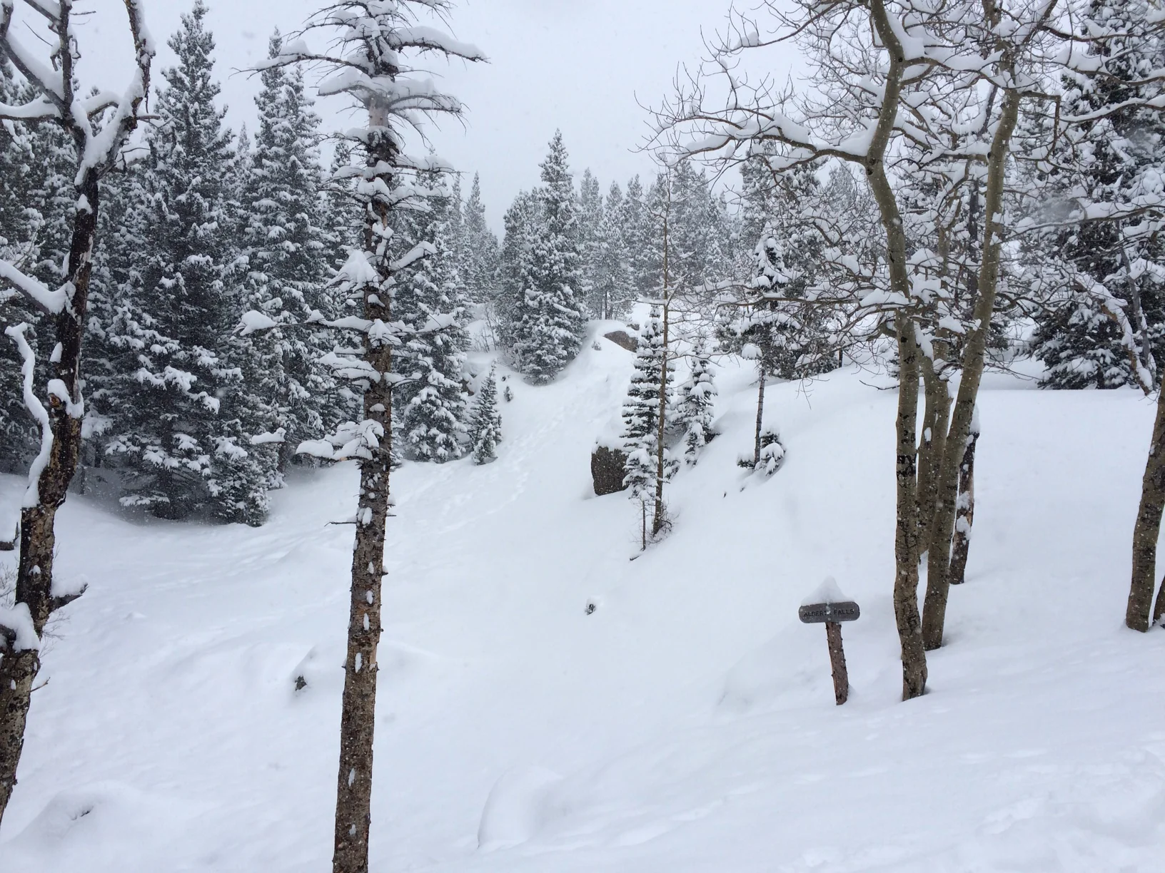 AlbertaFallsWinter.jpg