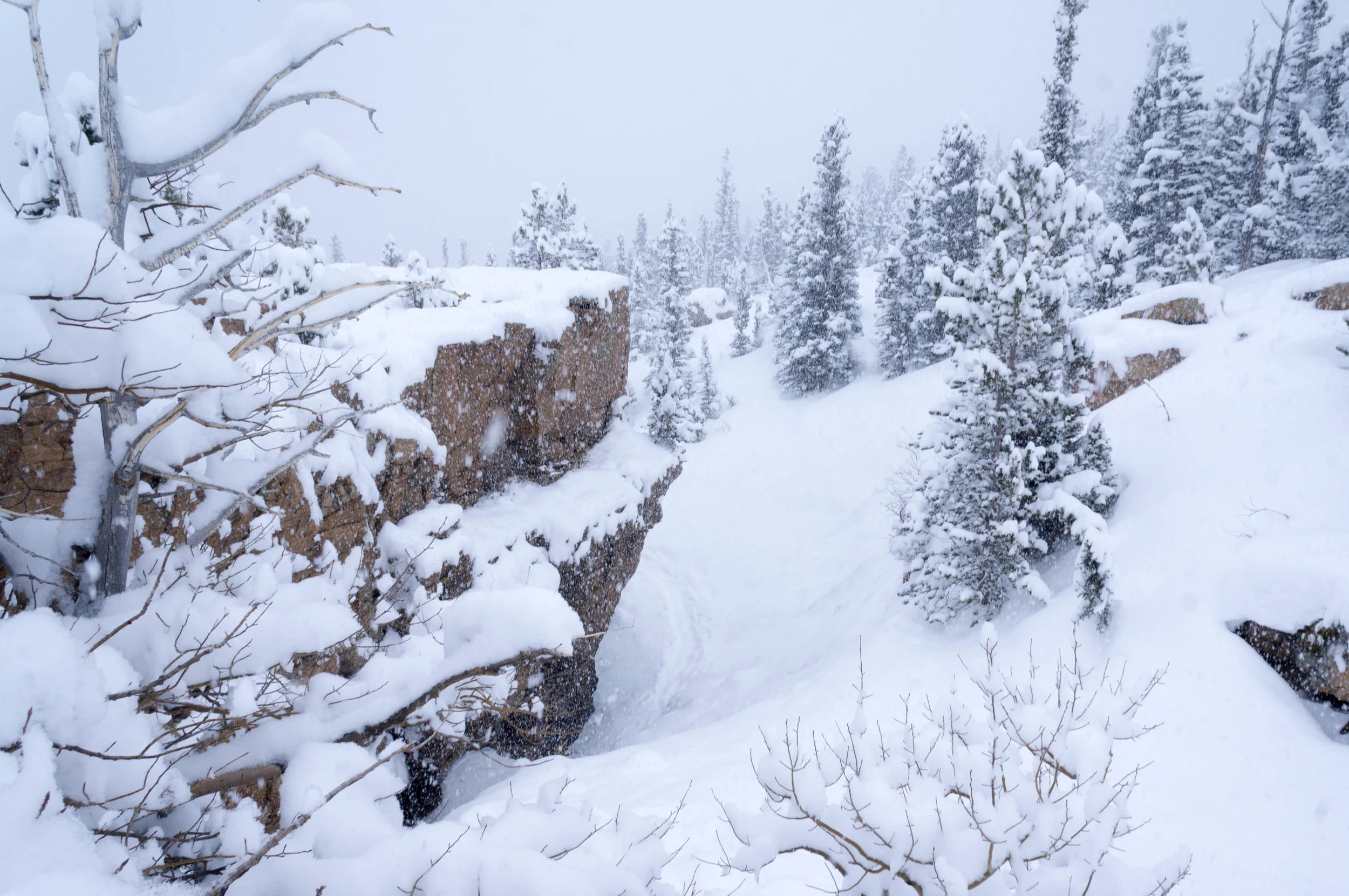 AlbertaFallsWinter-24.jpg