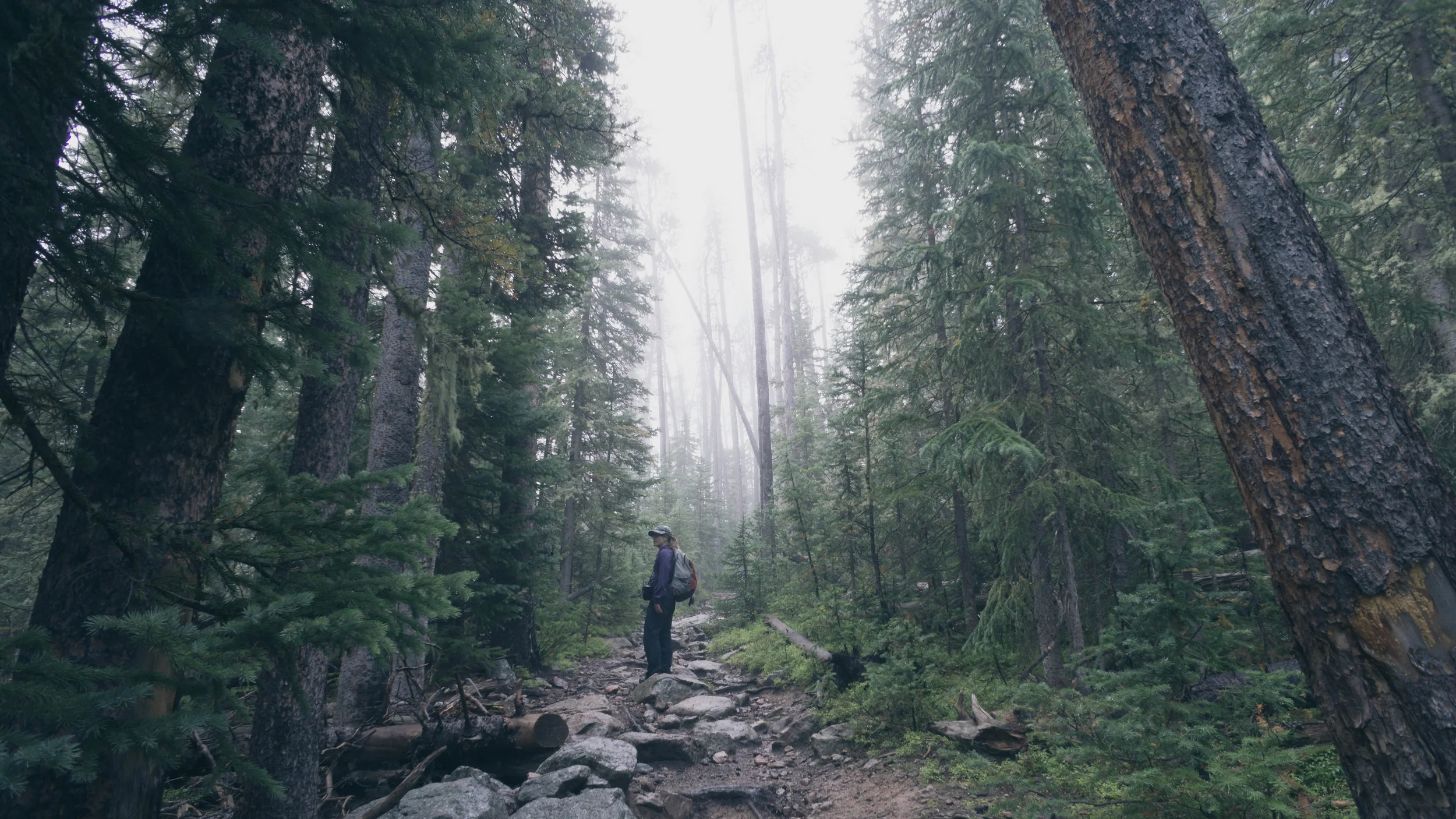 Eagle's Nest Wilderness