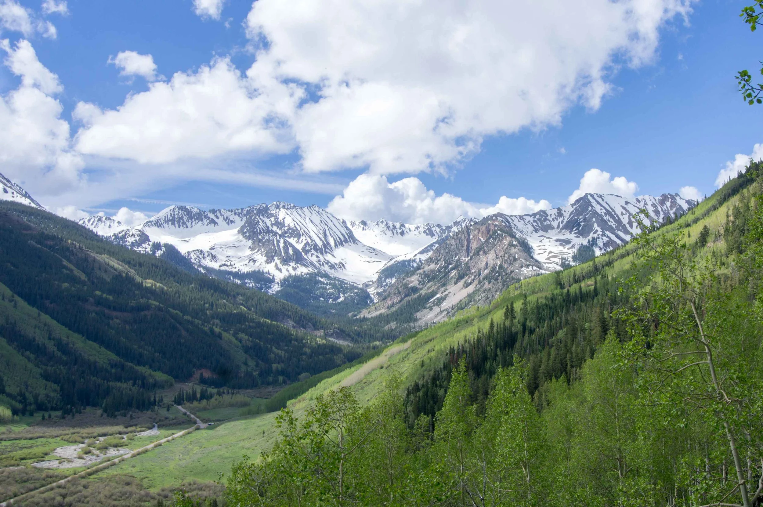 Cathedral Lake - Aspen
