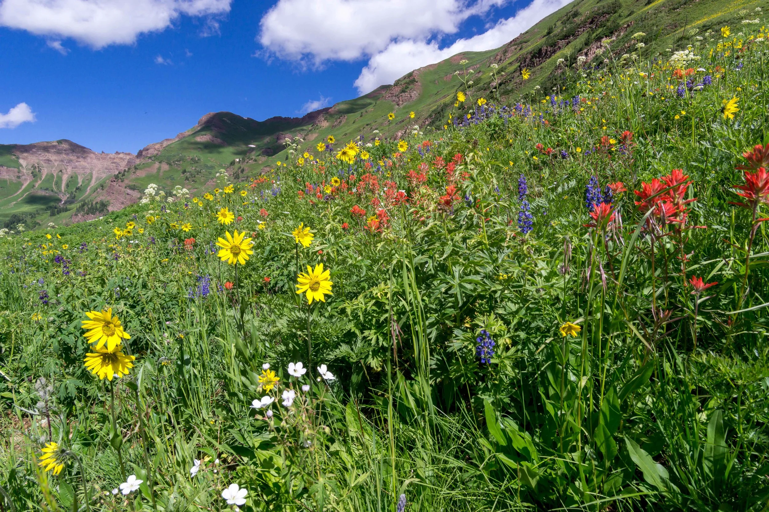 Rustler's Gulch (Where I popped an important question....)