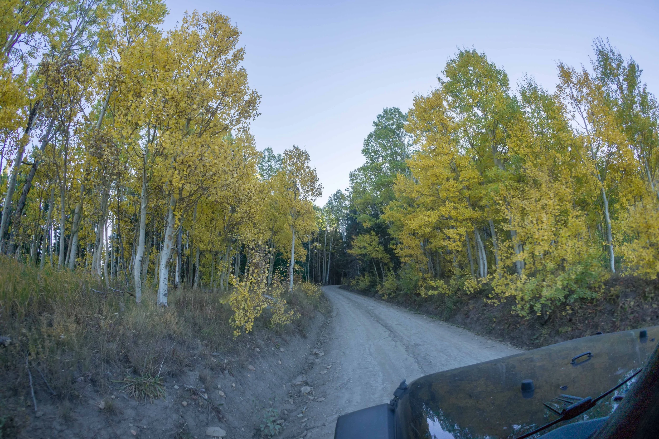 Last Dollar Road (Telluride)