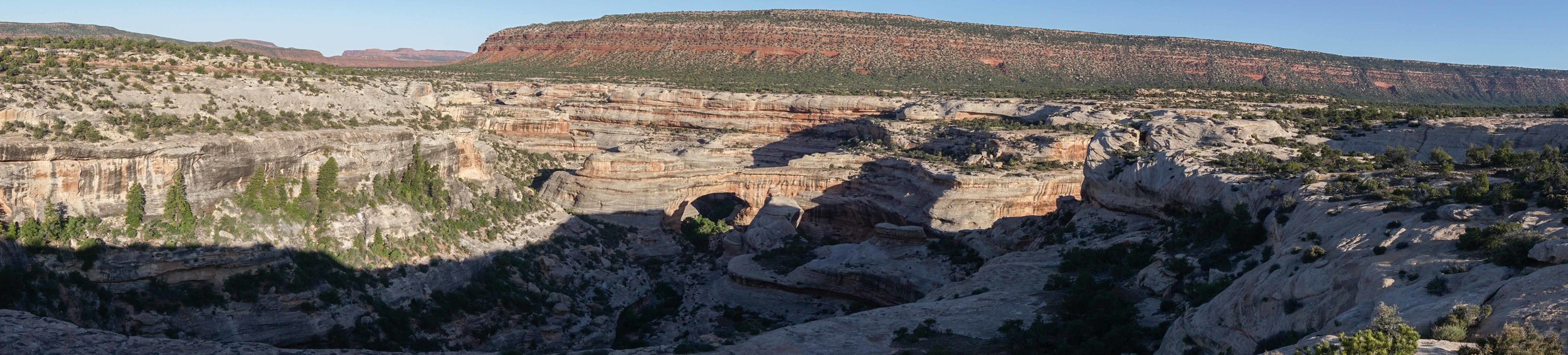 Natural Bridges Pano
