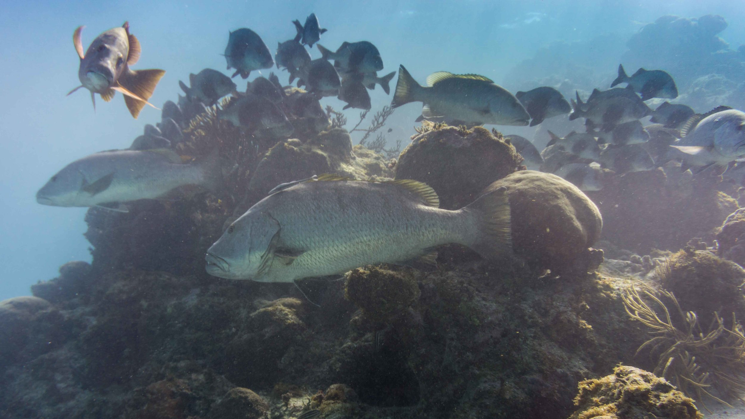 BelizeFixed-15.jpg