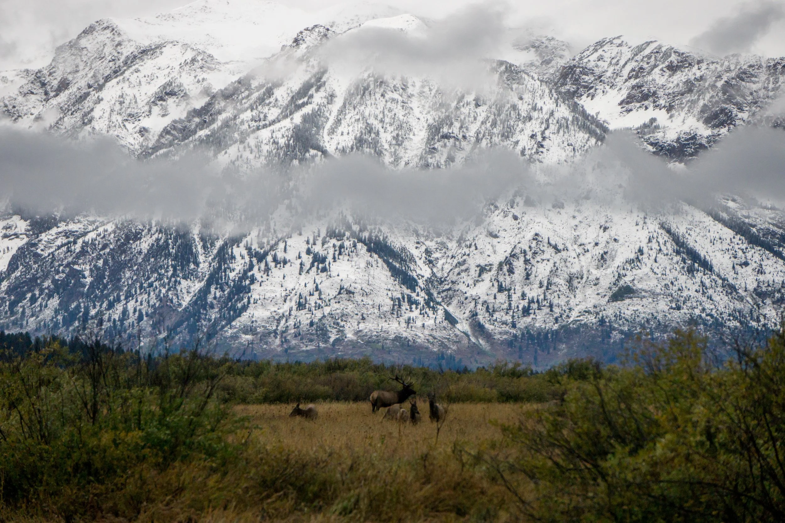 GrandTetonSept17-13.jpg
