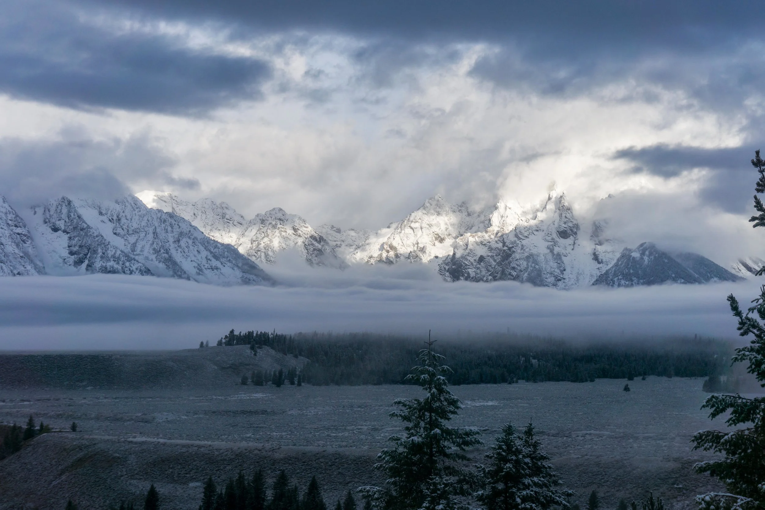 Fall Colors (kind of) - Jackson, WY