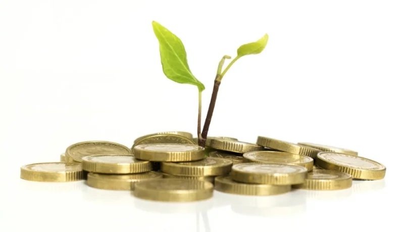 Money Grows.jpg
