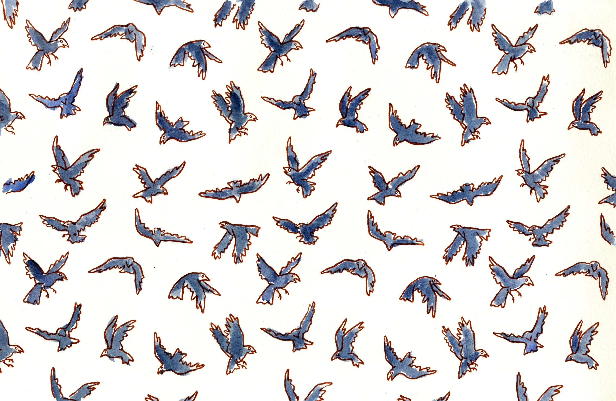 patternpg.jpg