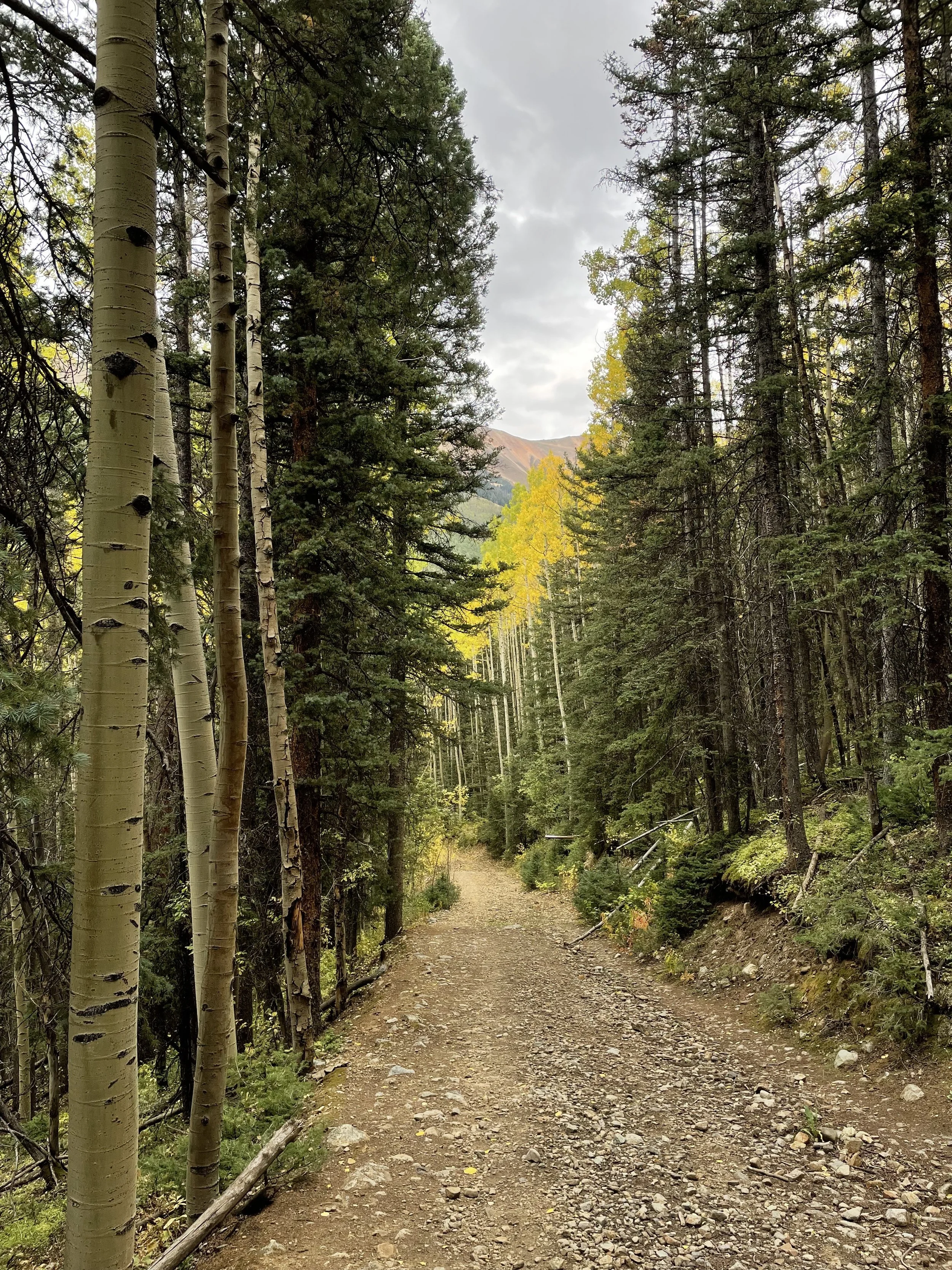 The Rewilding Autumn Practice