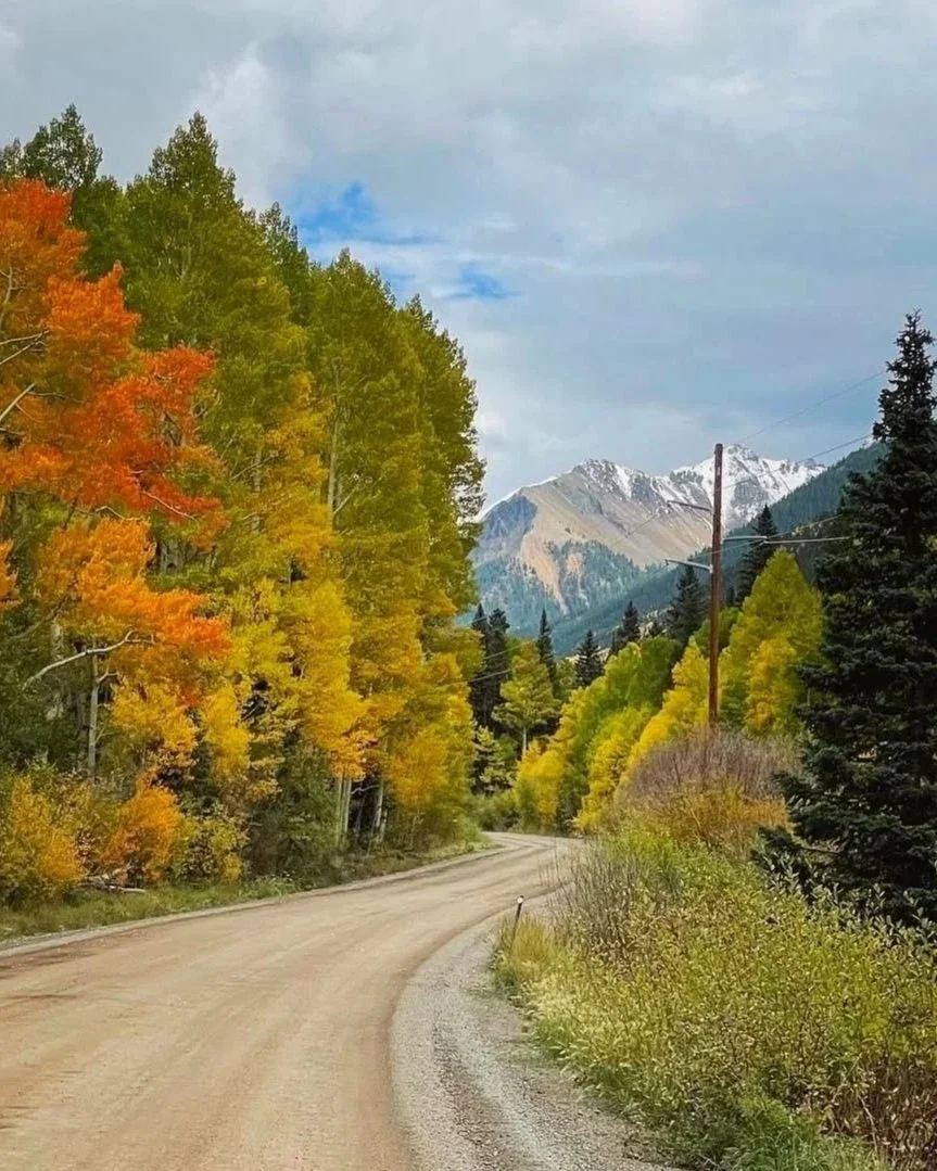 The Rewilding: Autumn Practice