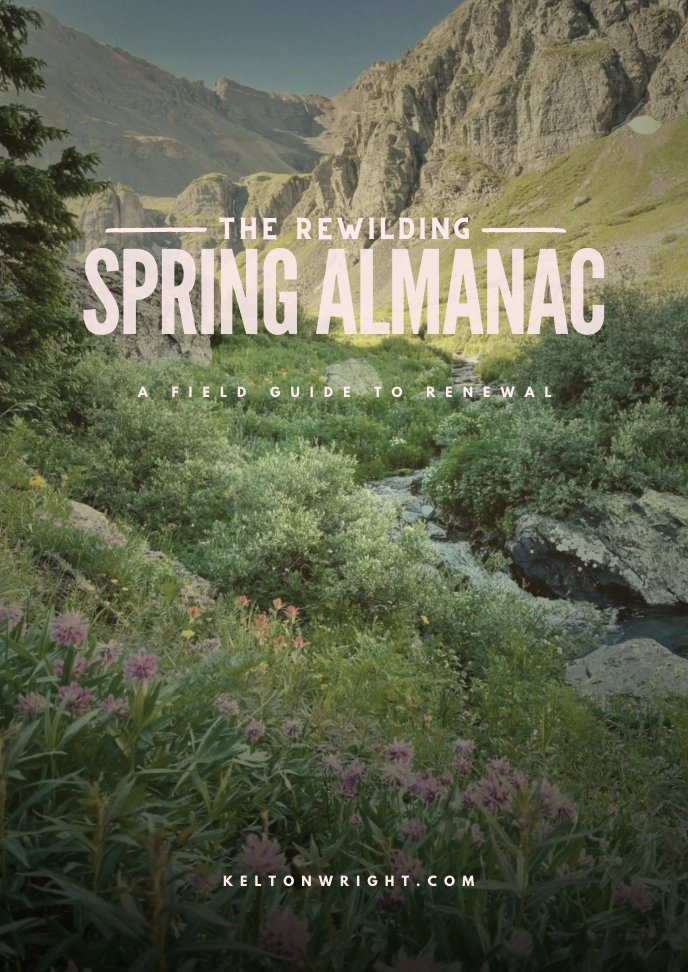 Screen Shot 2026-03-12 at 12.42.45 PM.png