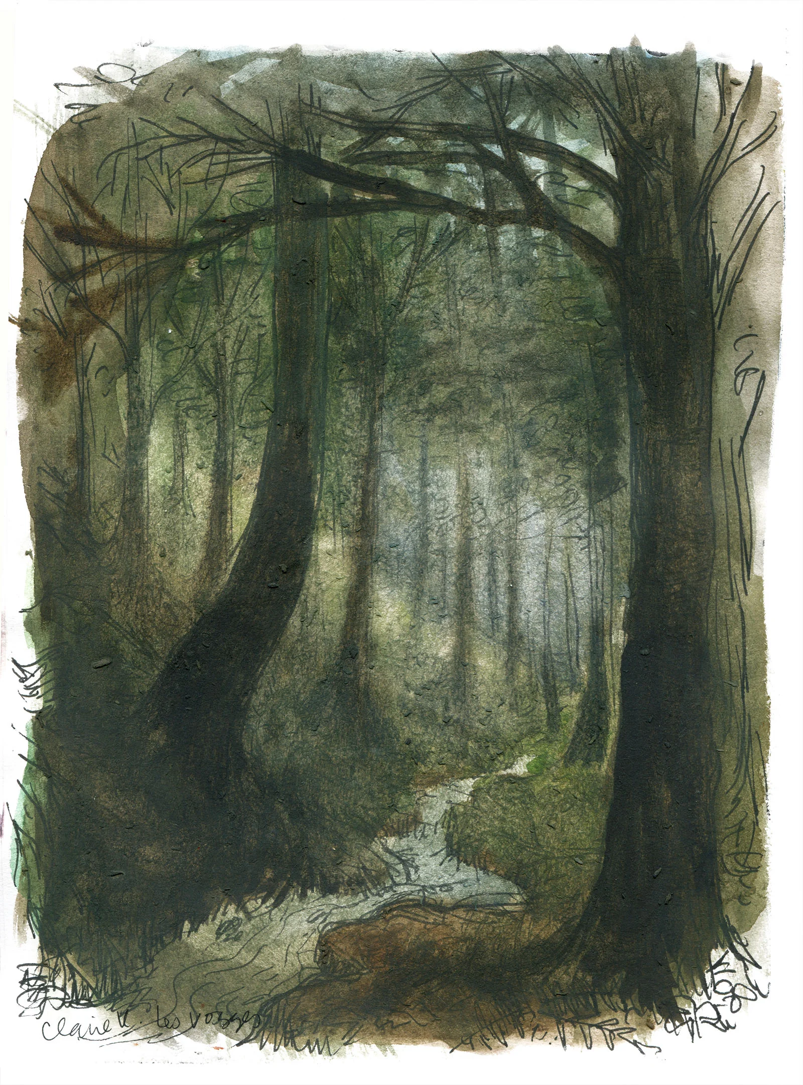 les vosges forest.jpg