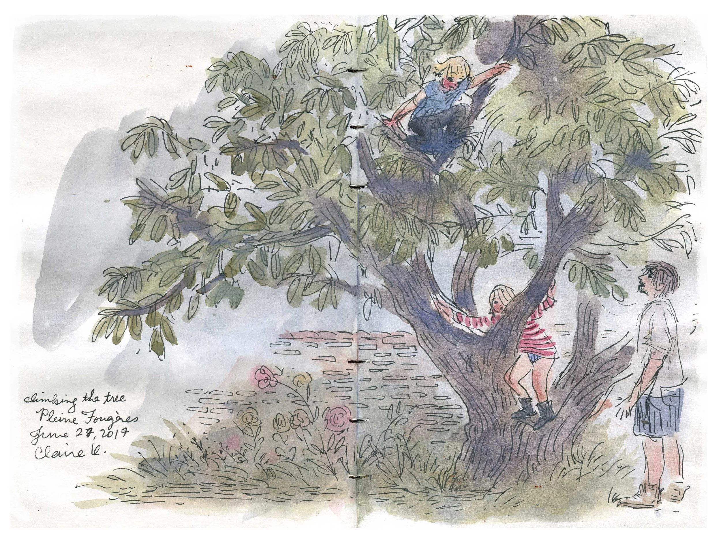 treeclimbers.jpg