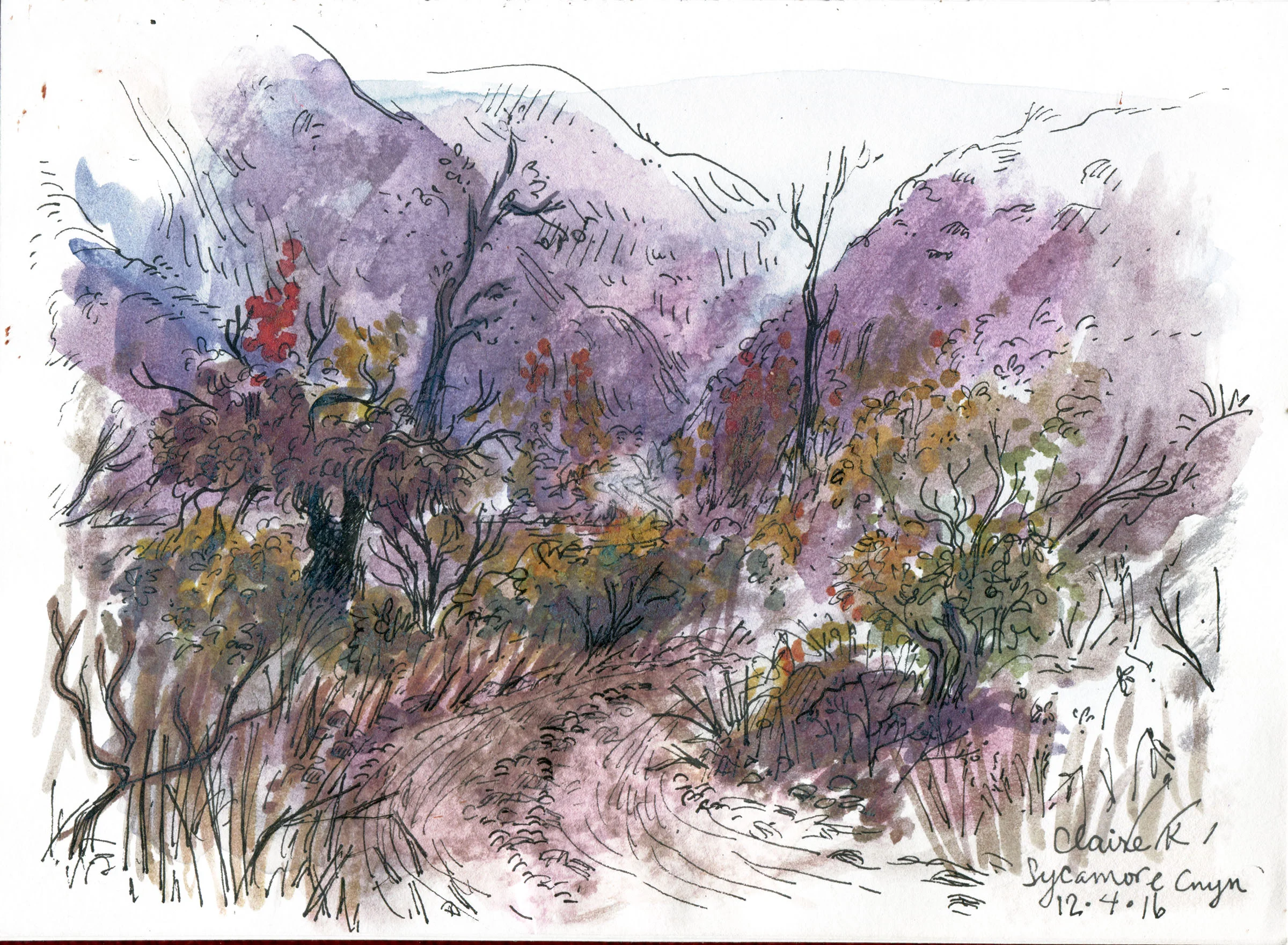 sycamore canyon.jpg