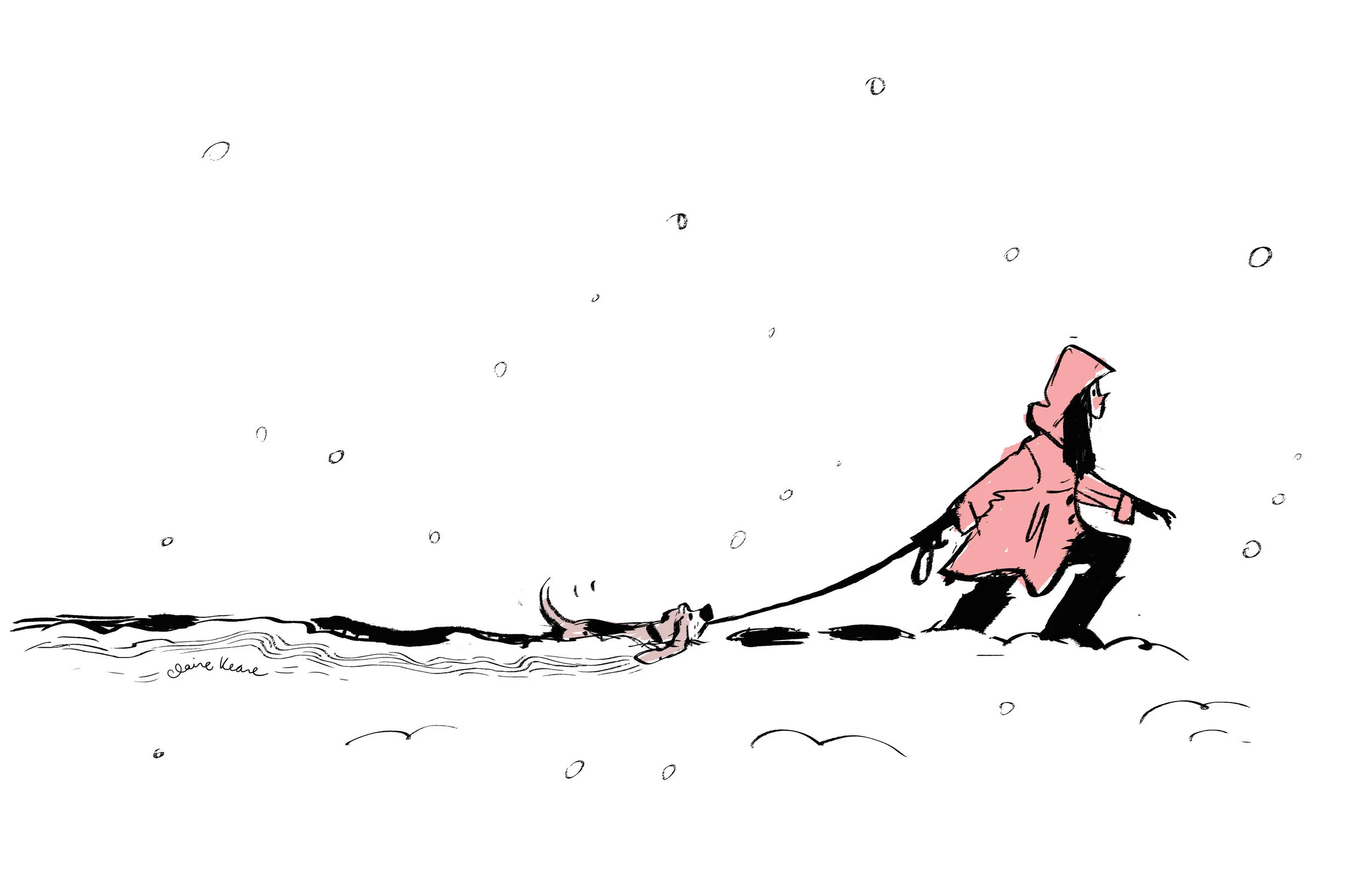 dogsnow.jpg