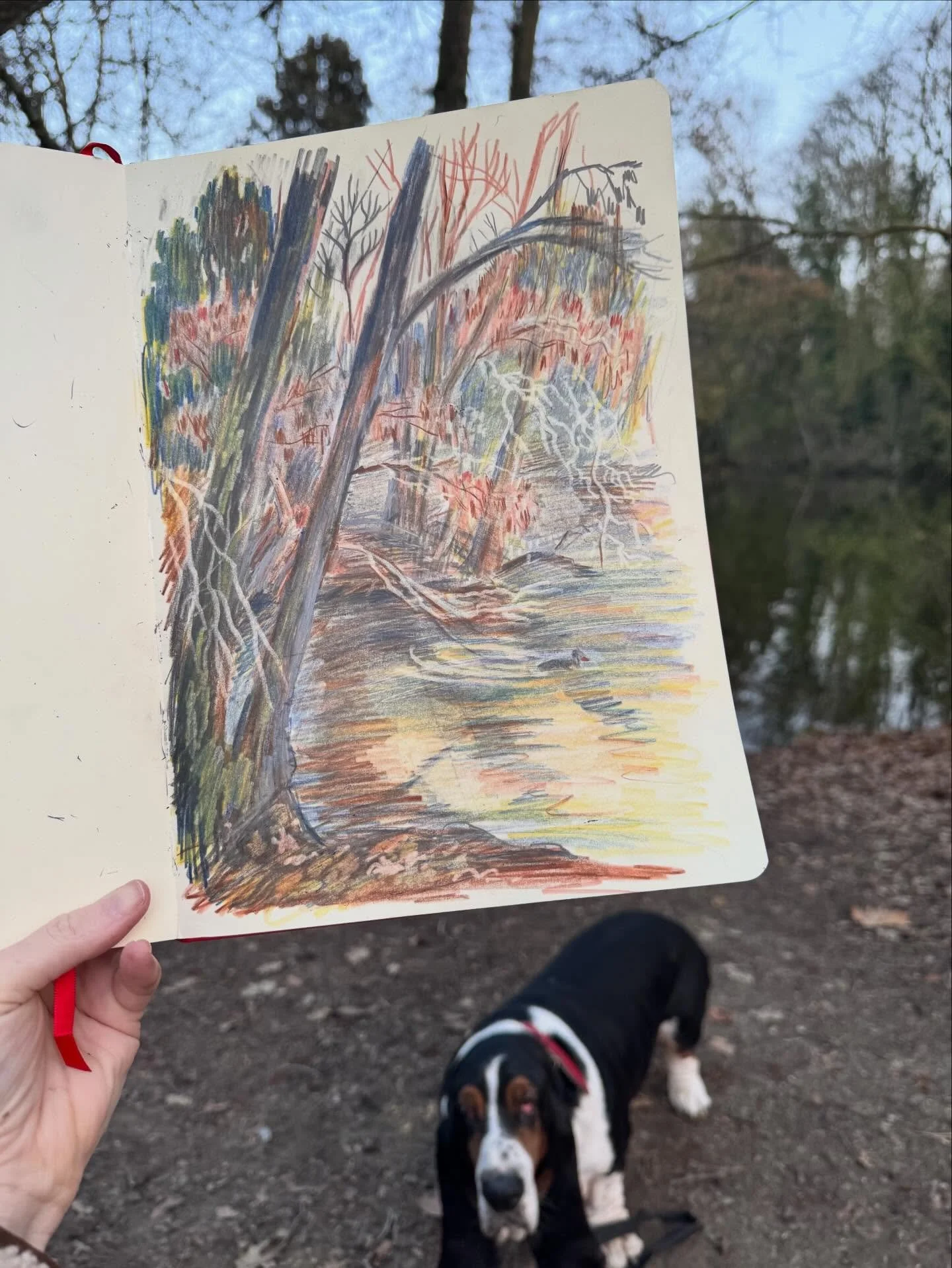 I got to sketch in my new favorite park - Parc Edmond de Rothschild In Boulogne with @stanleythewrinkleking  I&rsquo;ve been loving using colored pencil lately- there&rsquo;s nothing precious about them - mostly because I can erase.  I&rsquo;ve just 