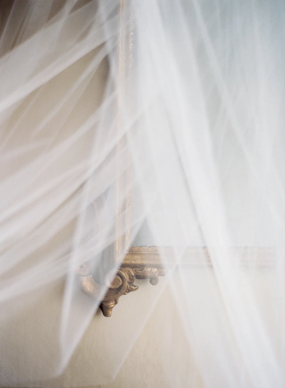 VickiGraftonPhotography-214.jpg