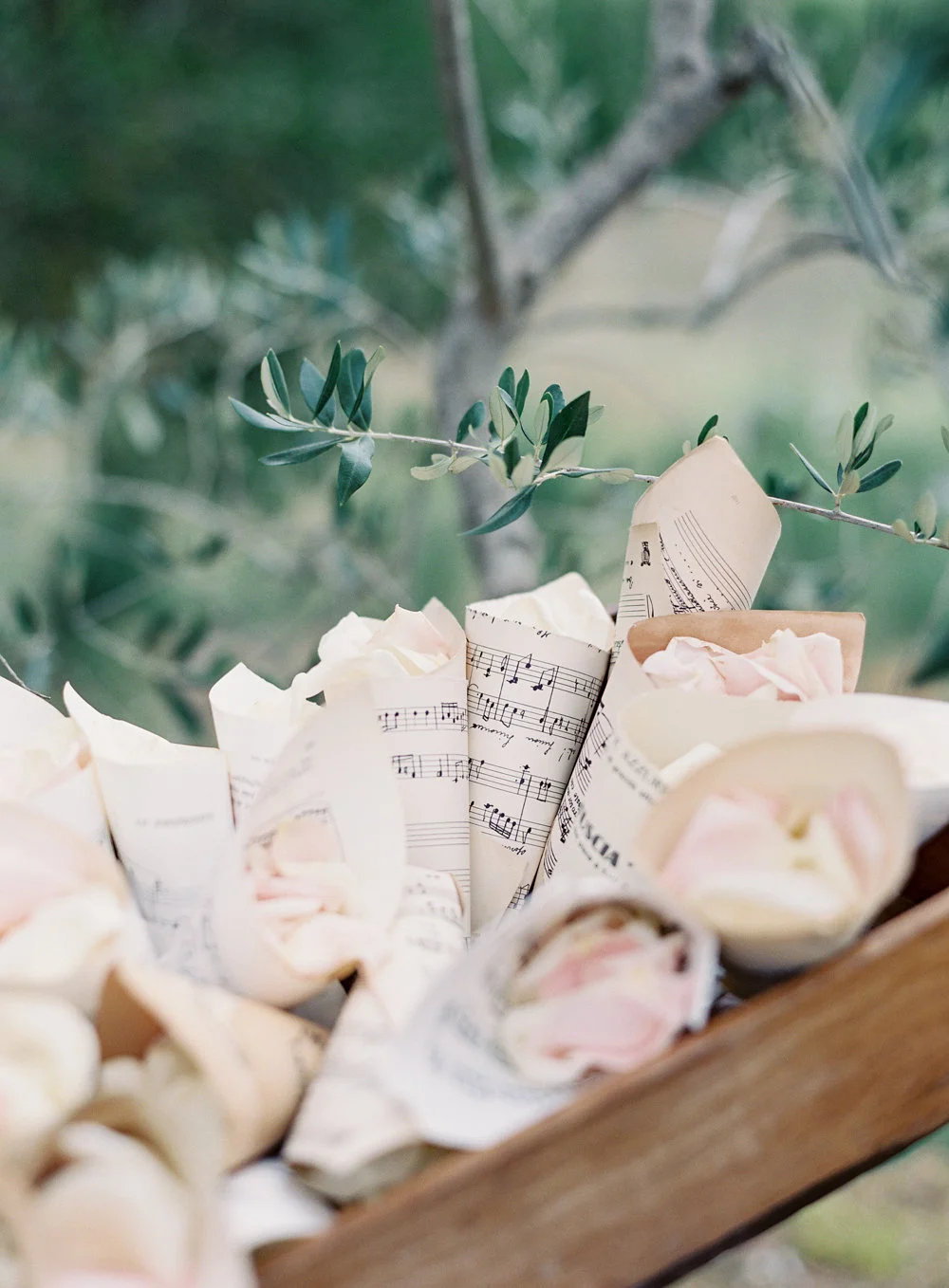 Whitney & Shaun's Intimate Tuscan Wedding | As seen on Style Me Pretty | Vicki Grafton Photography | Fine Art Film Tuscan Wedding Photographer | Intimate destination wedding photographer | Italy destination wedding photographer | Event Styling and Production: Chic Weddings In Italy | Floral Design: La Rosa Canina | Wedding Dress: Essense Of Australia | Wedding Invitations and Calligraphy: Written Word Calligraphy | Bride's Shoes: Valentino | Bridesmaids' Dresses: Jenny Yoo | Catering: Galateo Ricevimenti | Hair & Makeup: Giulia Cresci | DJ: Francis Jay | Groom's Attire: J. Hilburn | Groomsmen Attire: The Black Tux | String Quartet: Firenze Classica | Venue: BORGO STOMENNANO | Bridal Boutique: Betsy Robinson Bridals | Groom's Shoes: Salvatore Ferragamo | Hair Accessories: Jennifer Behr | Programs: Written Word Calligraphy | Save The Dates: Carol Woldhuis Designs | Cinematography: East West Productions 
