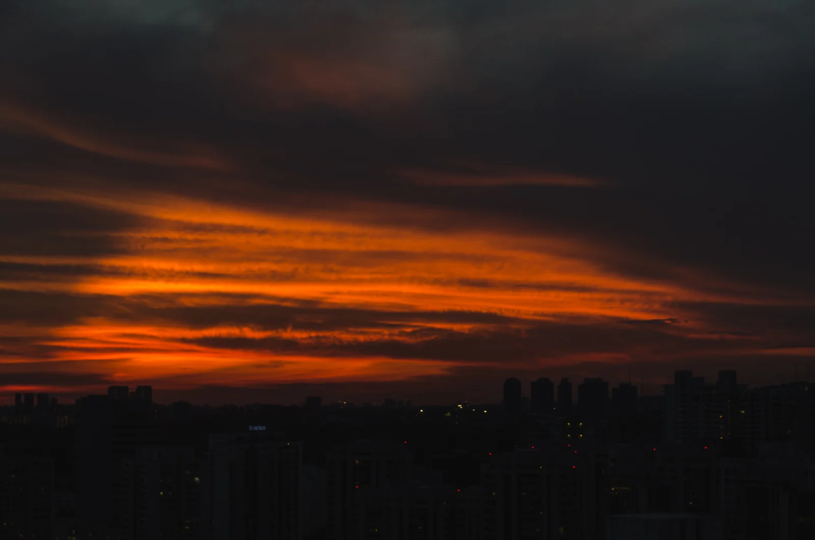 DSC_7157.jpg