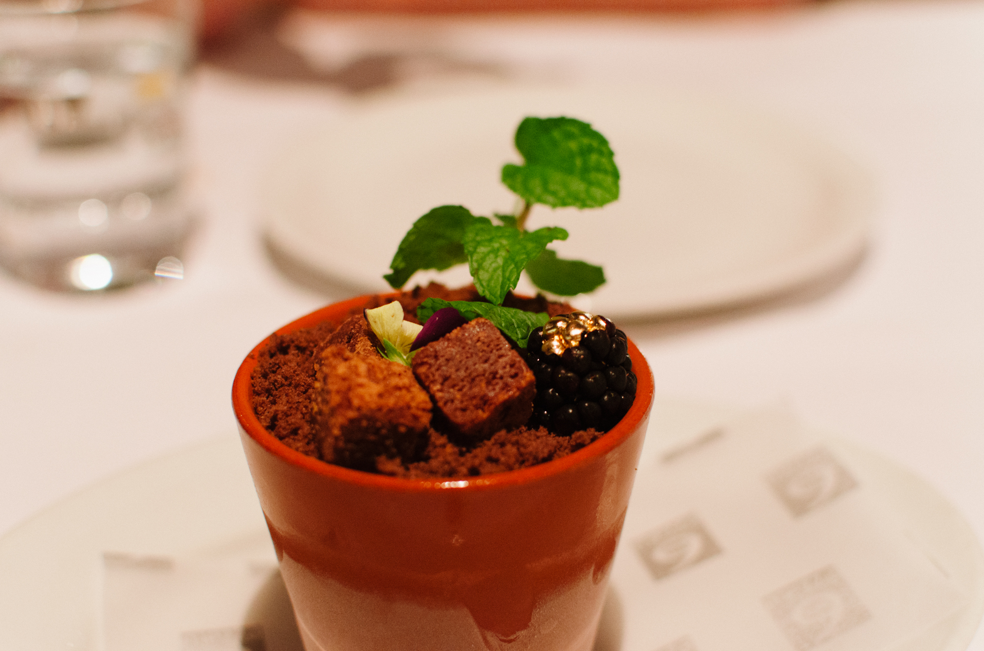 Flower Pot • Caramel Sea Salt Ice-cream • Chocolate Soil • Mint Leaves • Flowers • Berries