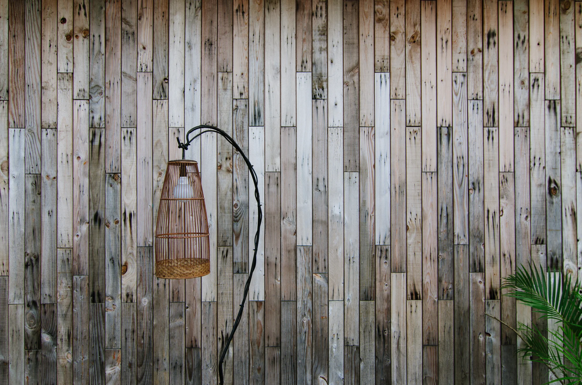 The Shutterwhale's Definitive Guide to Montigo Resorts