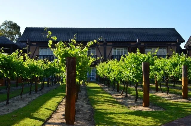 $4 Million Refurbishment at Novotel Vines Swan Valley Resort