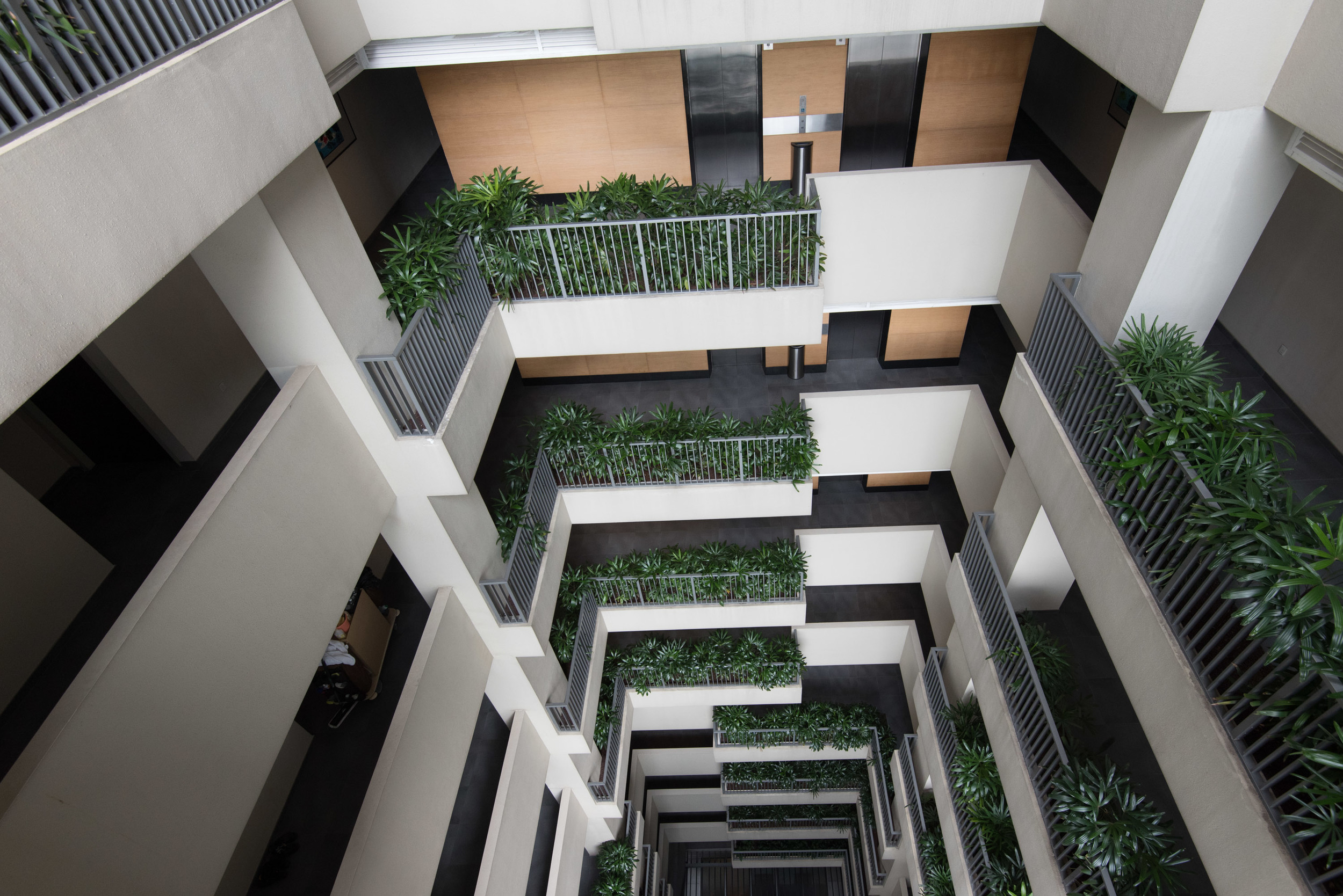 View from Above