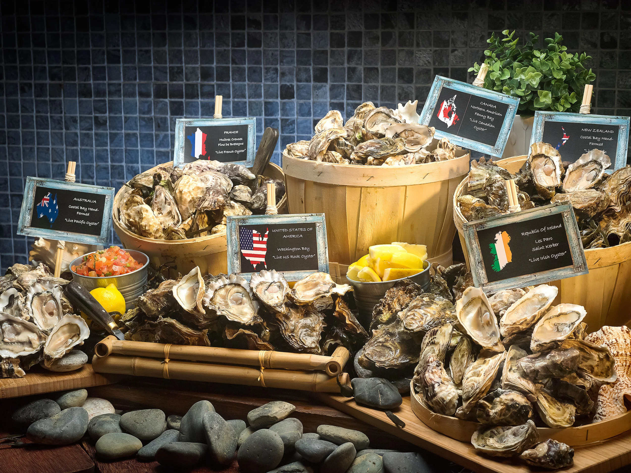 Oyster Occasions at Pan Pacific Orchard's 10 at Claymore 