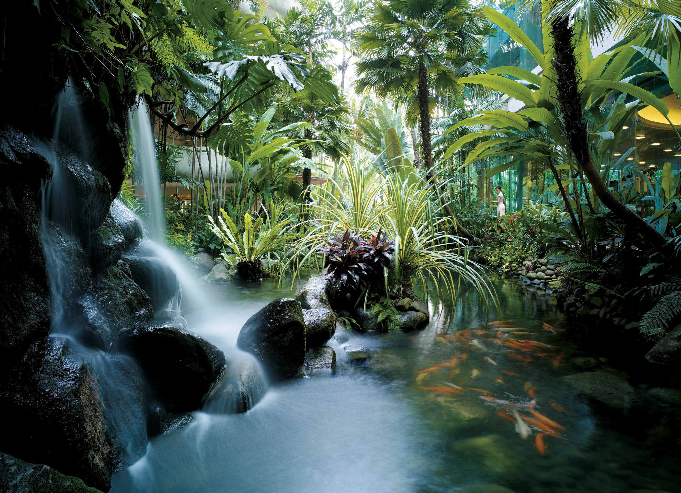 Koi Pond at The Waterfall | Photo Credit: Shangri-La Hotel, Singapore