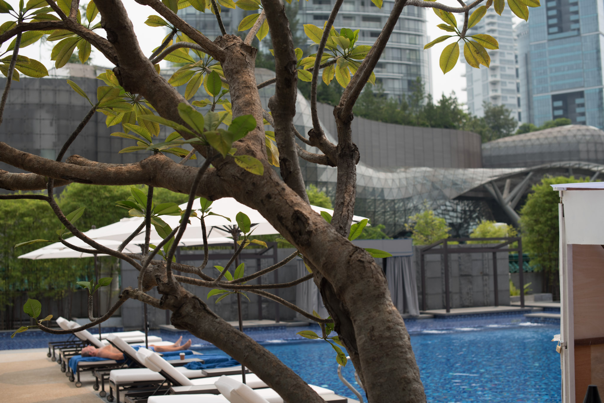 View of the Swimming PoolPool Grill - Singapore Marriott Tang Plaza Hotel