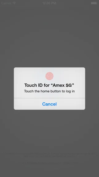Touch ID Authentication | Photo Credit: American Express