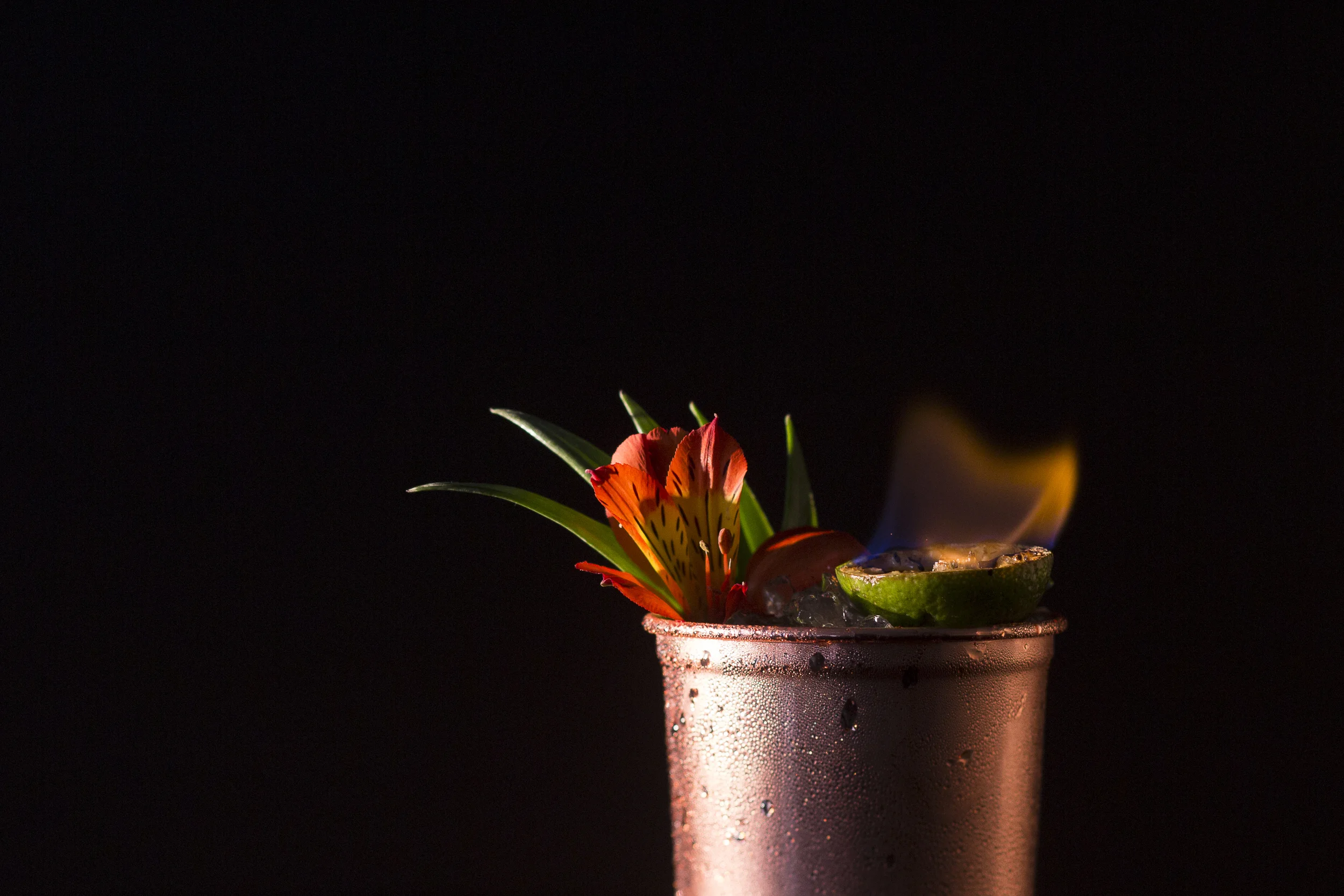 Tiger Blood Daisy | Photo Credit: Smoke & Mirrors