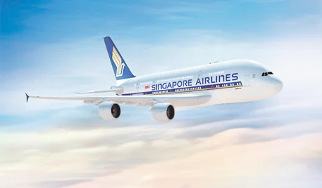 Last Minute Singapore Airlines Promo for January 2016