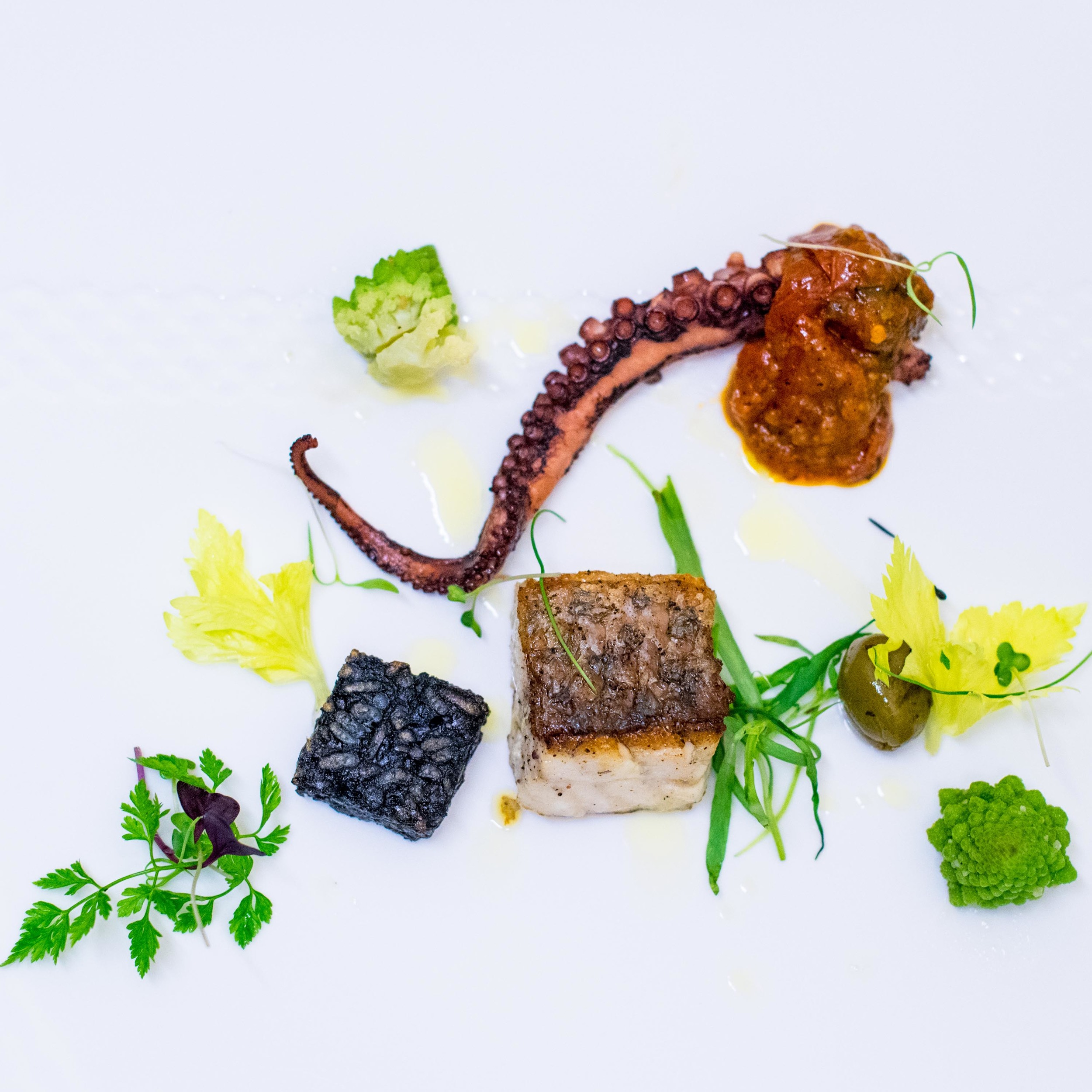 Grilled Sea Bass and Octopus with Crispy Squid Ink Risotto Cake, Roasted Green Olive - 2016 BasilissimoBasilico - Regent Singapore