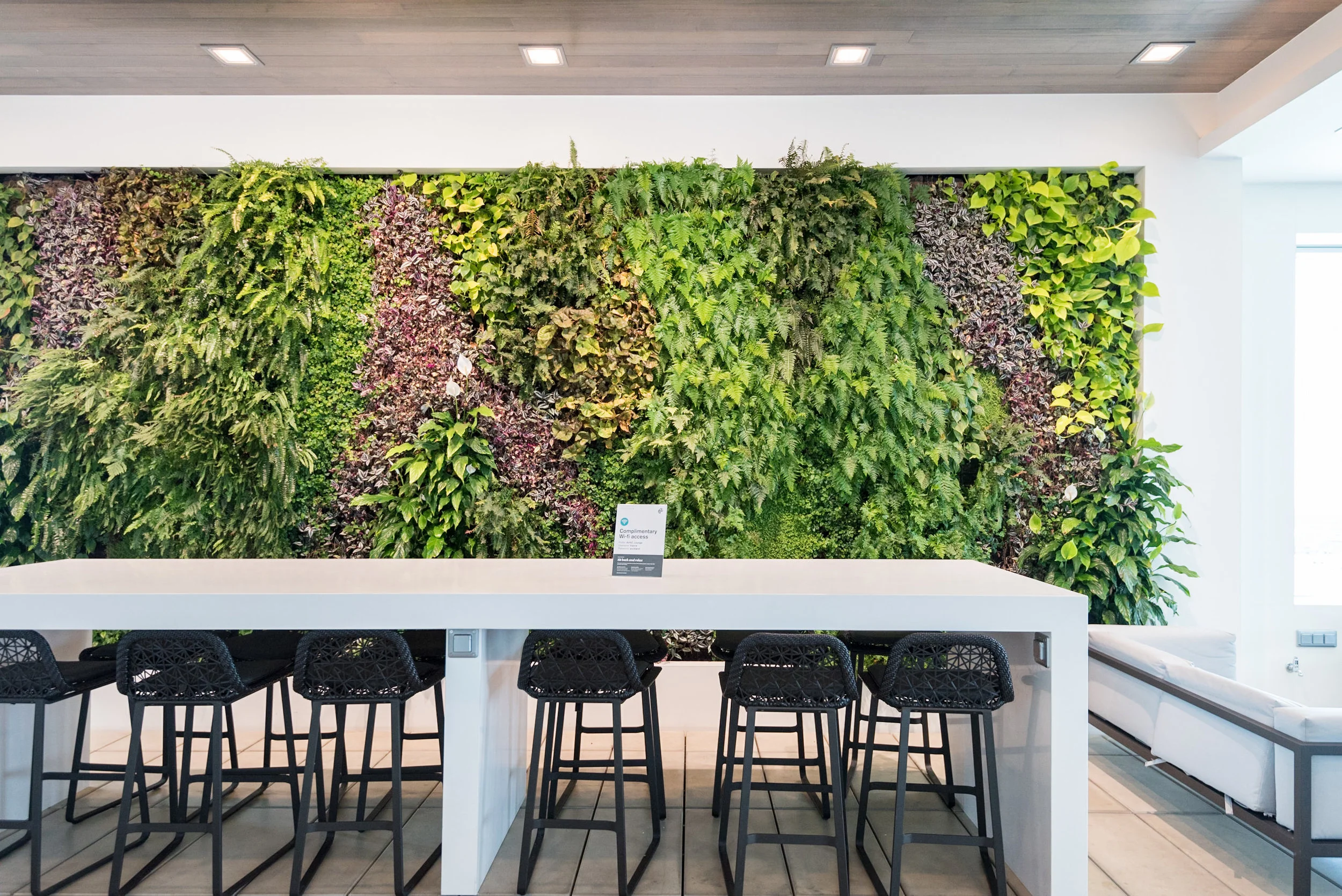 Outdoor Terrace (Covered) Air New Zealand Auckland International Lounge (New Zealand)