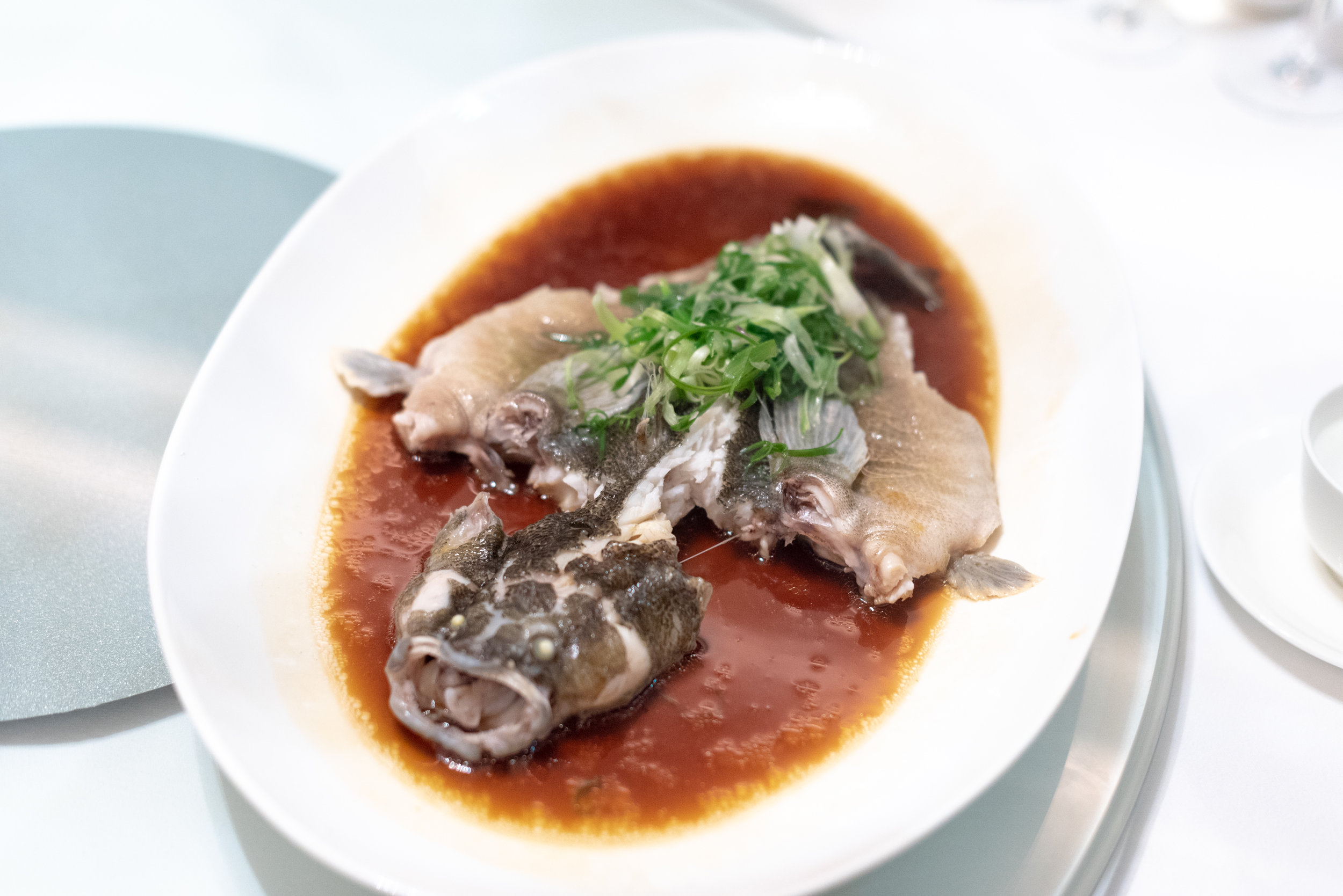Steamed Soon Hock with Ipoh Soy and Spring Onion (S$14++ per 100g) Madame Fan - NCO Club at the JW Marriott Singapore South Beach