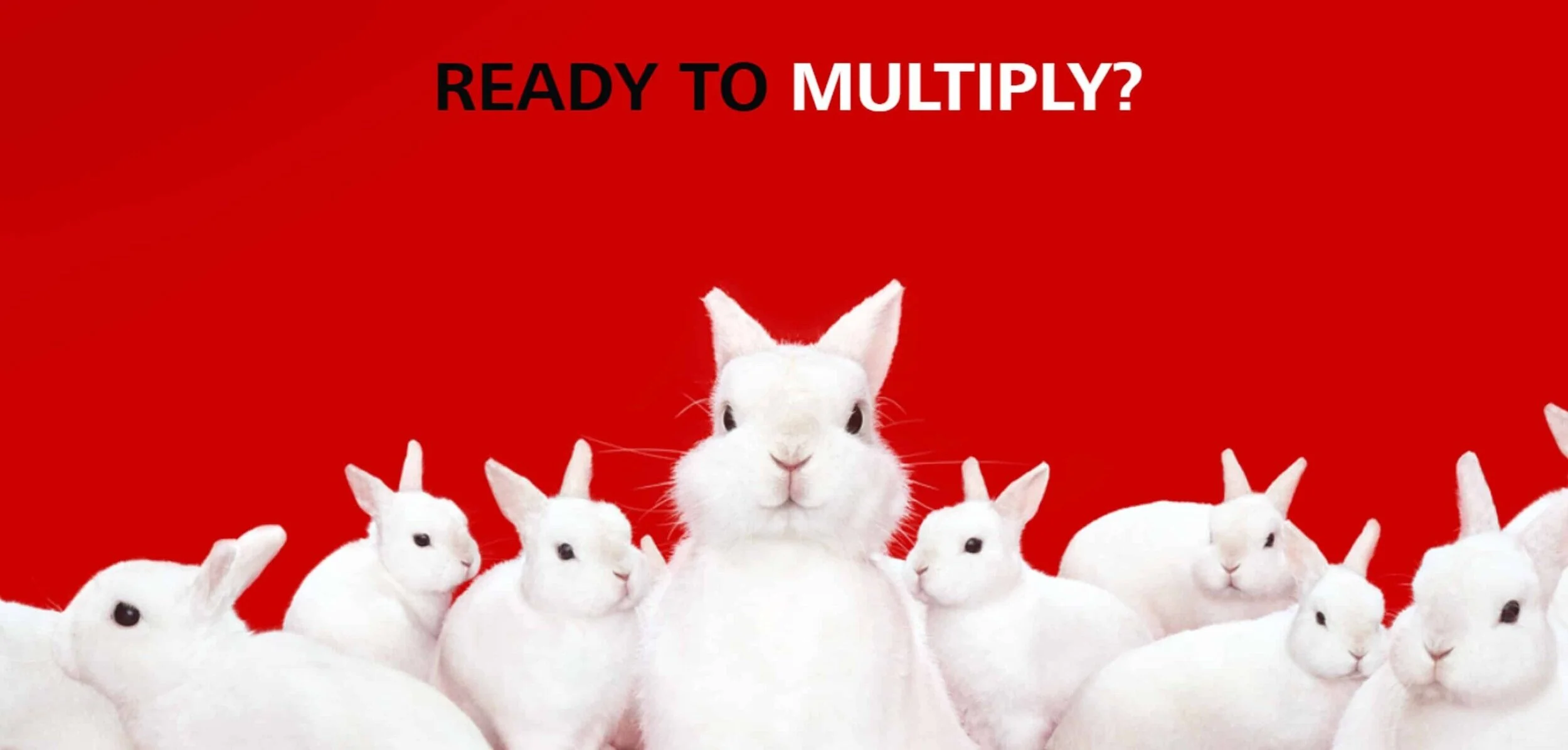 Understanding the DBS Multiplier Account in 2020 - It May Not Be as Good as You Think and Bonus Interest Rates Will Be Reduced on 01 May 2020