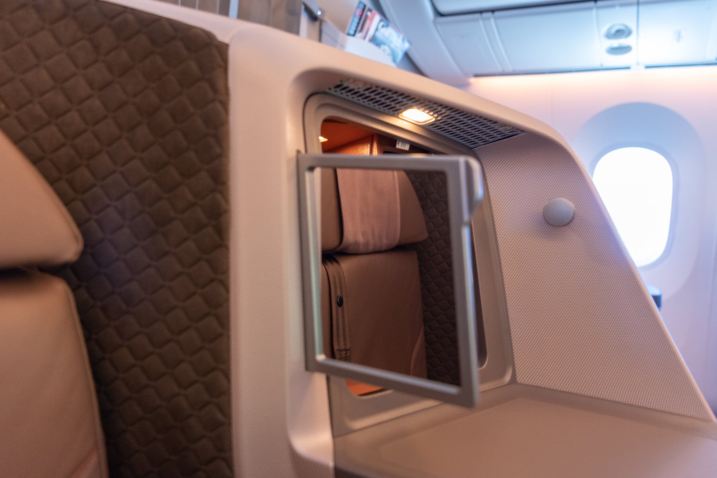 Sliding Mirror Singapore Airlines Business Class SQ877 B787-10 - TPE to SIN