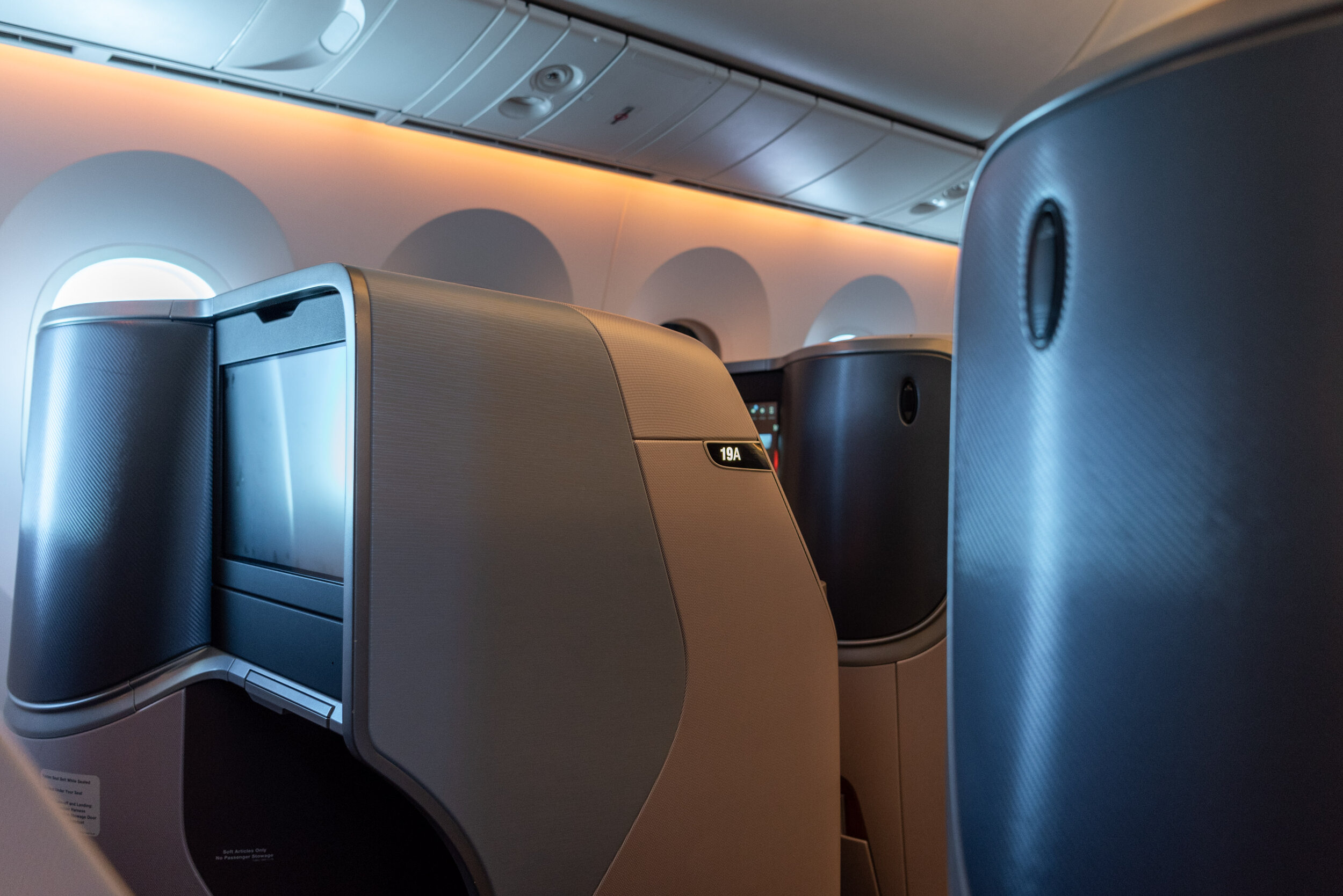 View from Seat 20D Singapore Airlines Business Class SQ877 B787-10 - TPE to SIN